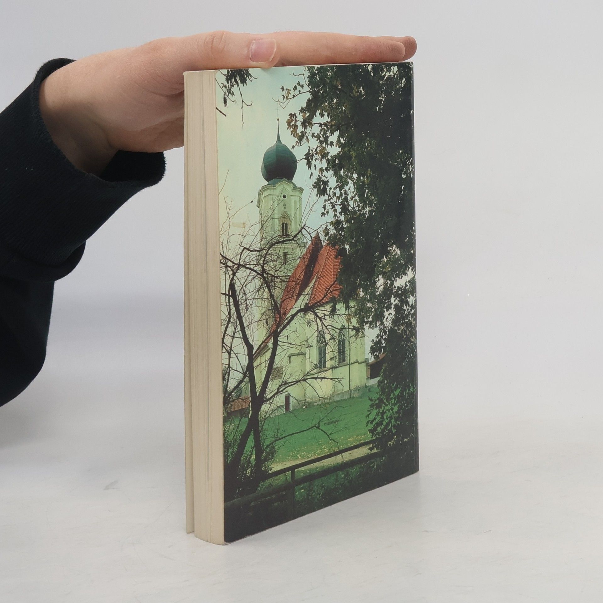 Georg Lohmeier Kunst-Kuren im Dreibäderland