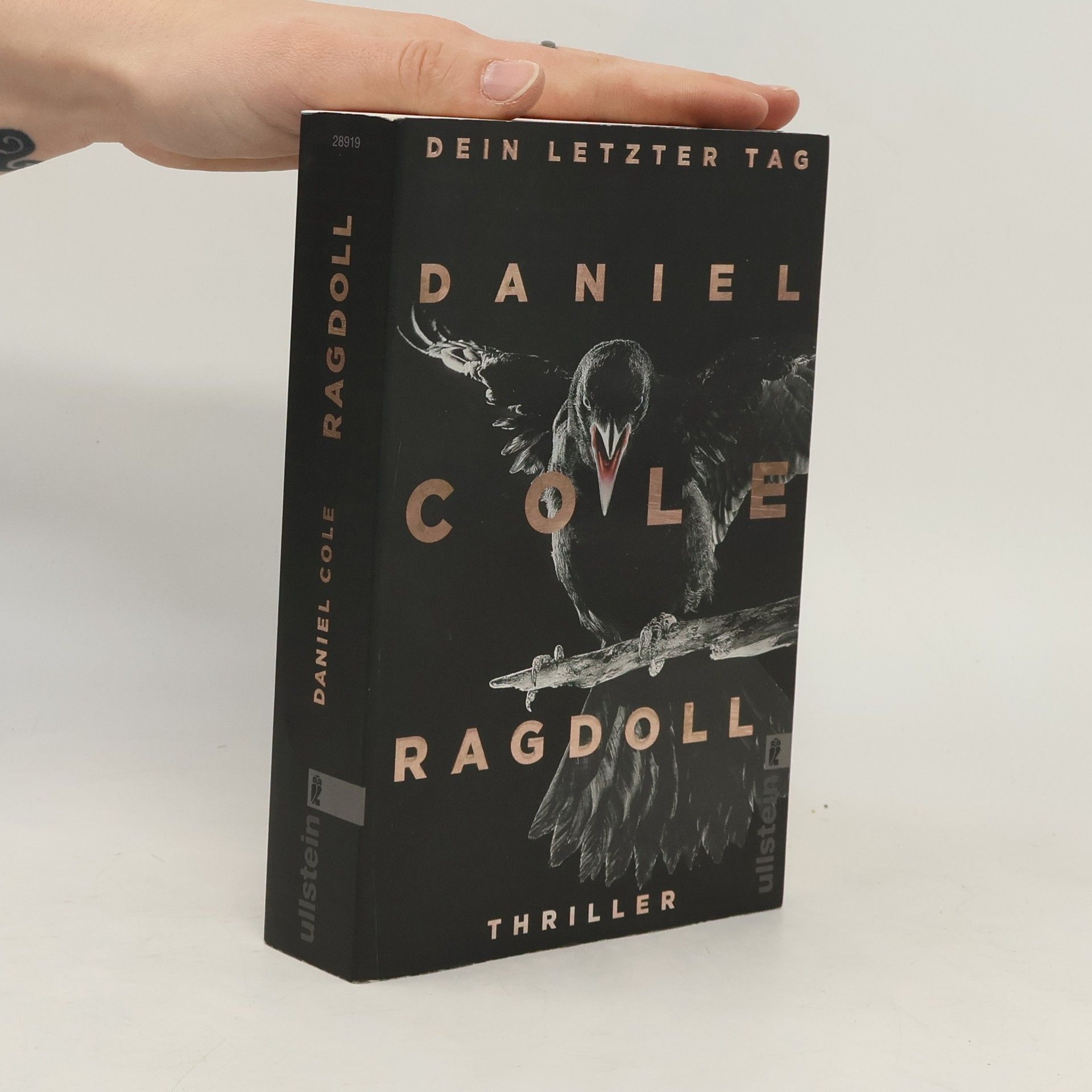 Daniel Cole Ragdoll