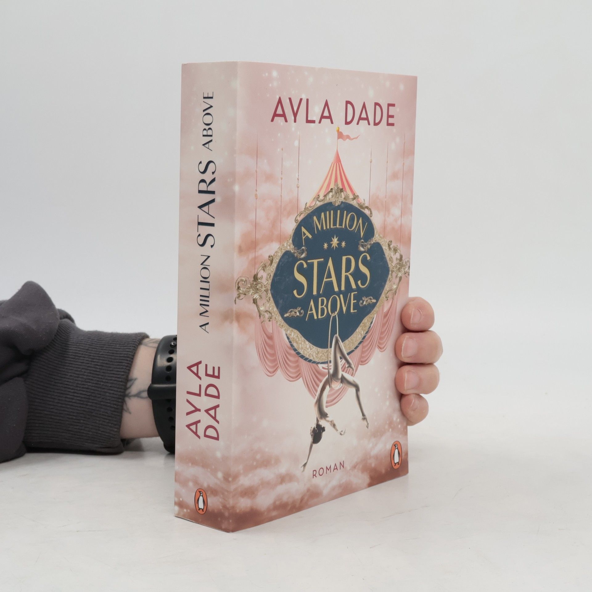 Ayla Dade A Million Stars Above / Sky Circus Bd.1