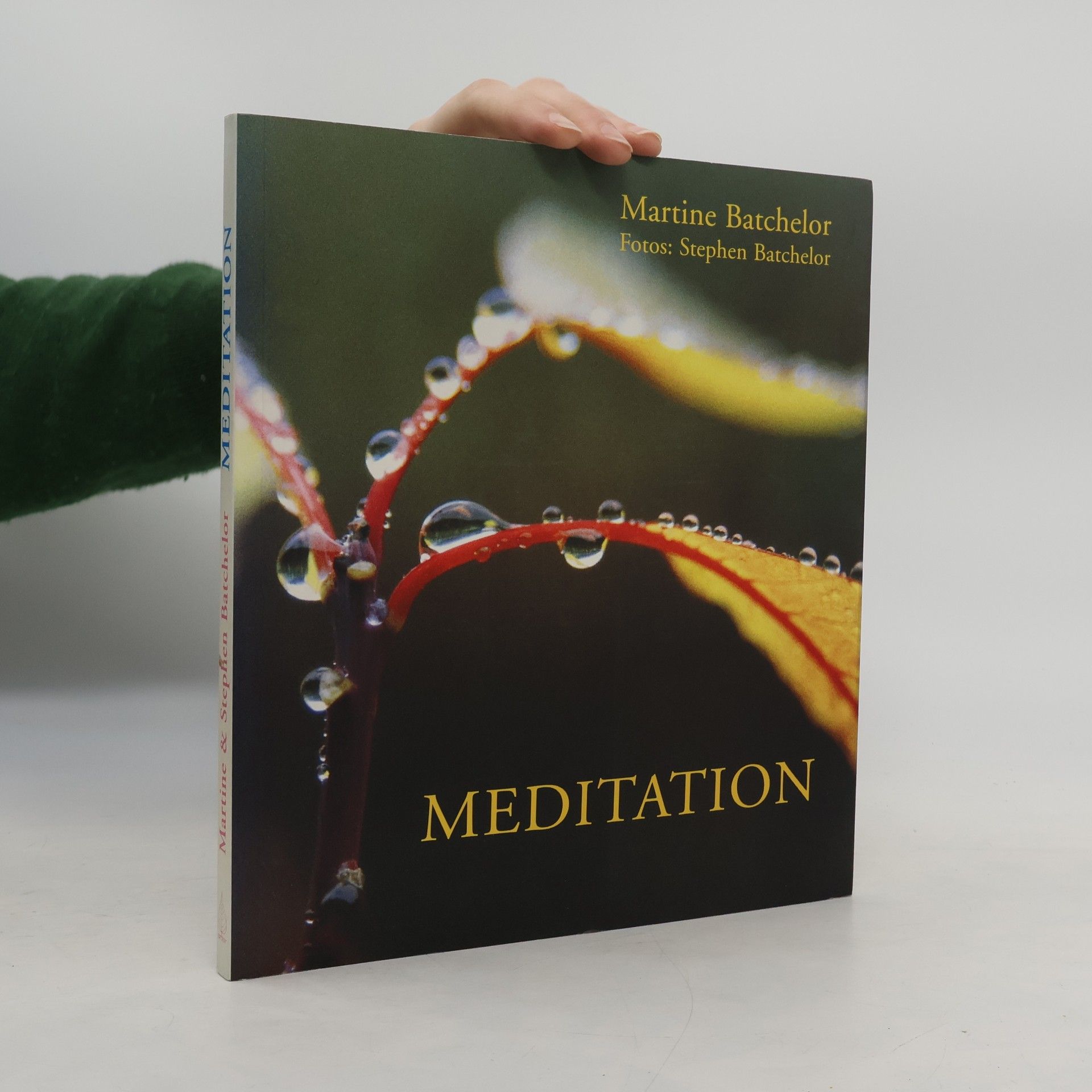 Martine Batchelor Meditation