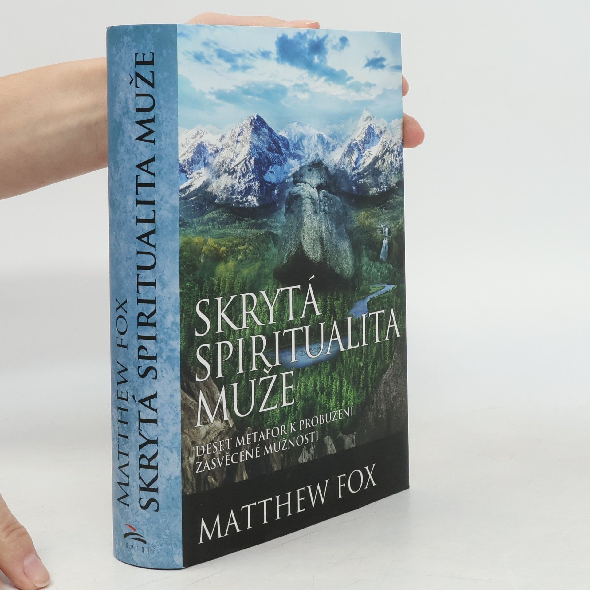 Matthew Fox Skrytá spiritualita muže