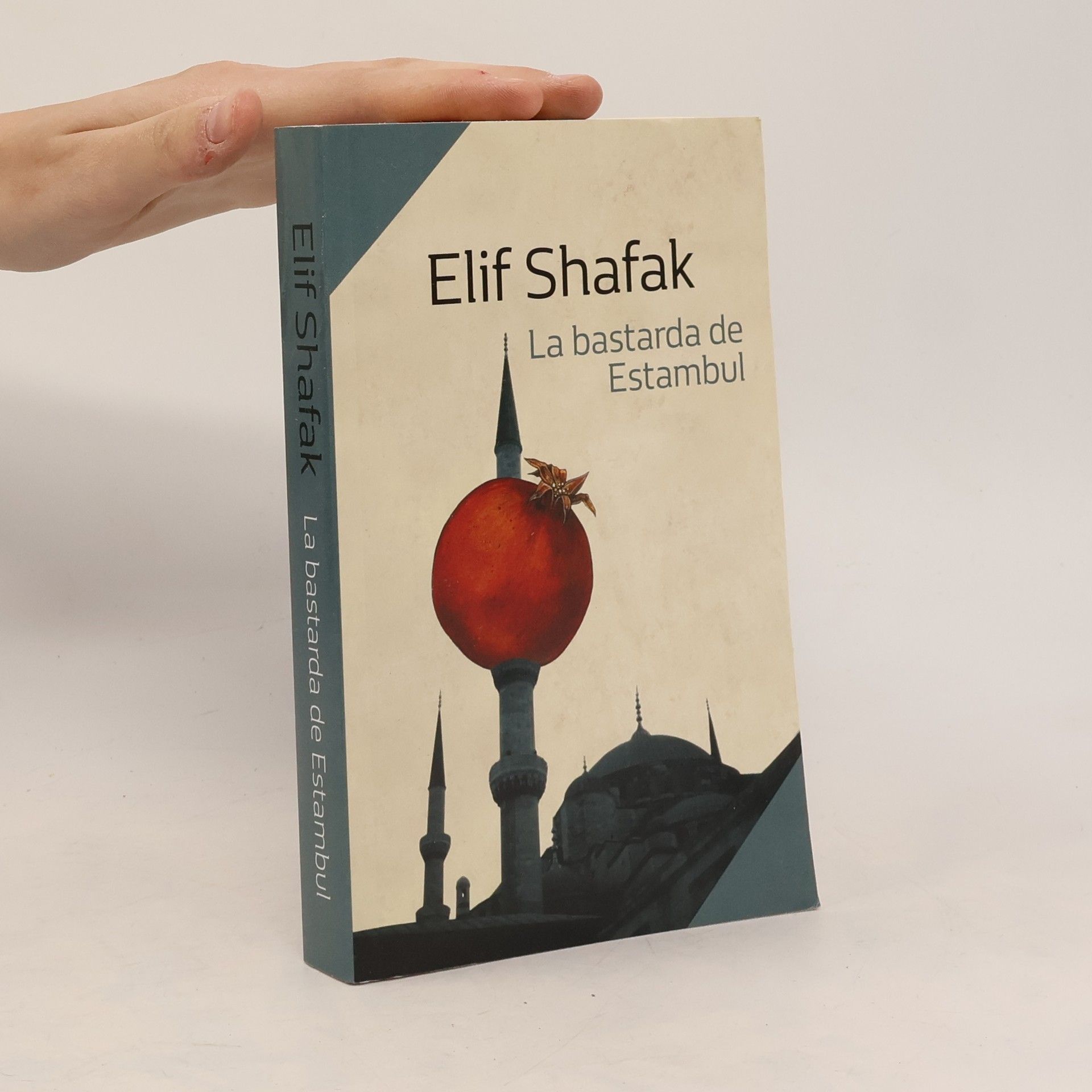 Elif Shafak La bastarda de Estambul