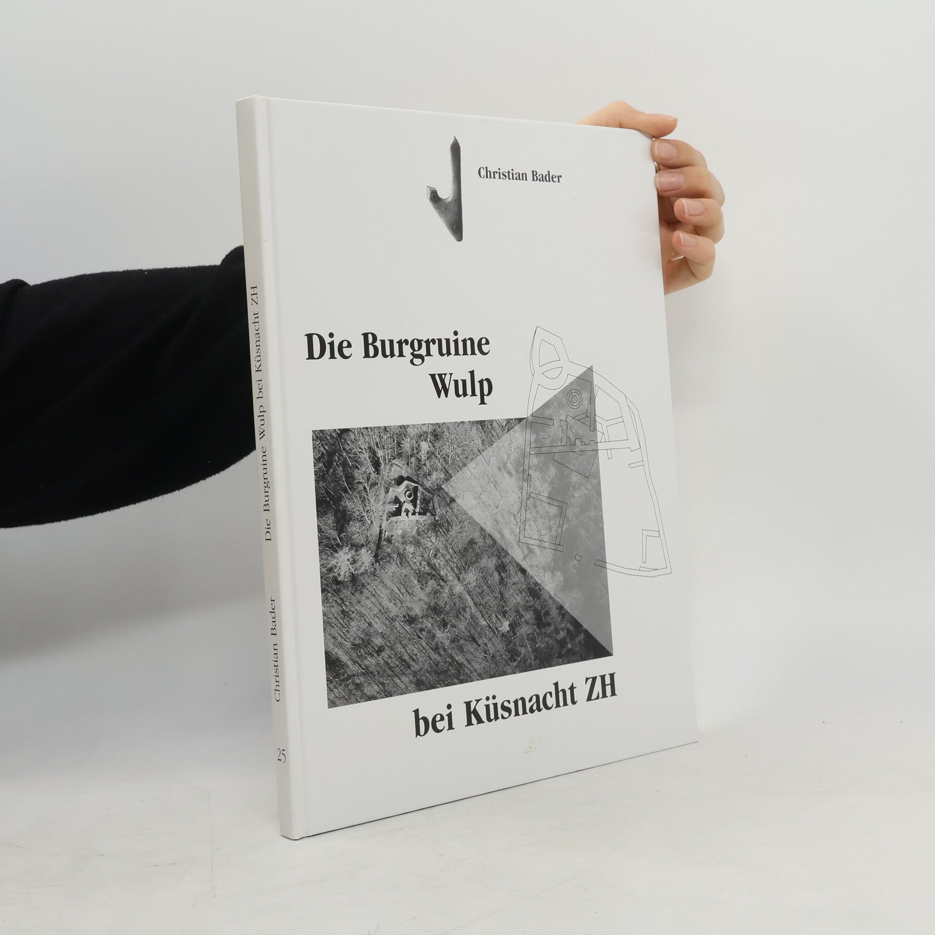 Christian Bader Die Burgruine Wulp bei Küsnacht ZH