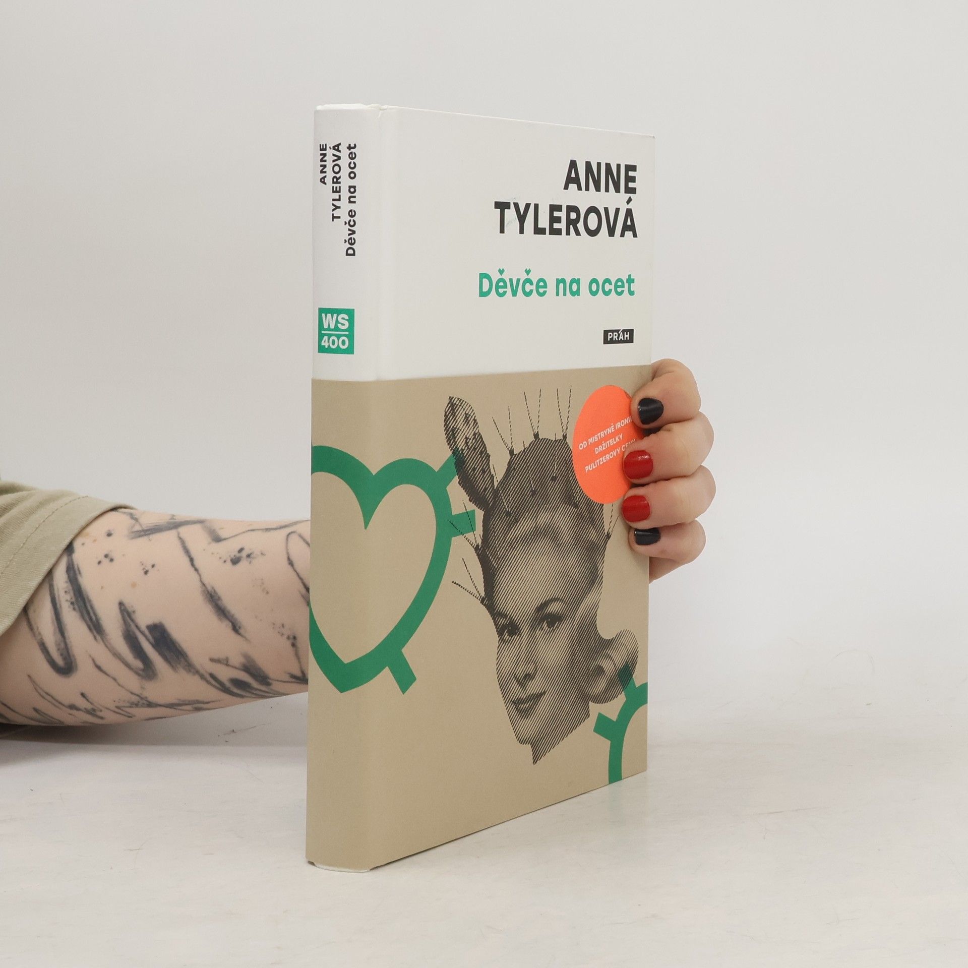 Anne Tyler Děvče na ocet
