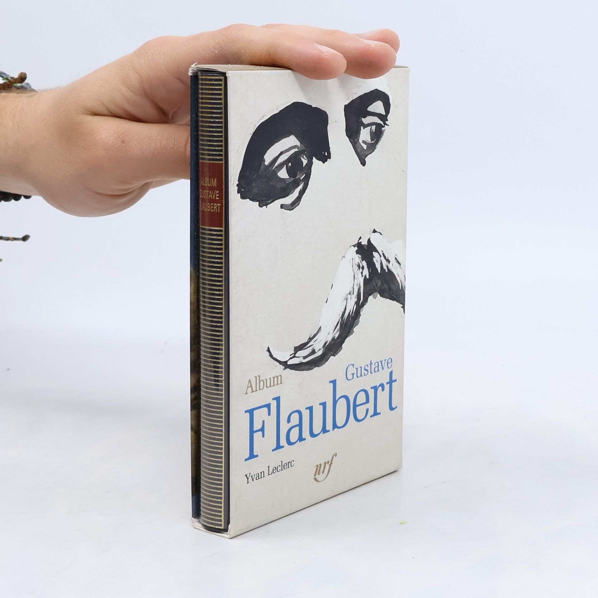 Yvan Leclerc Album Gustave Flaubert