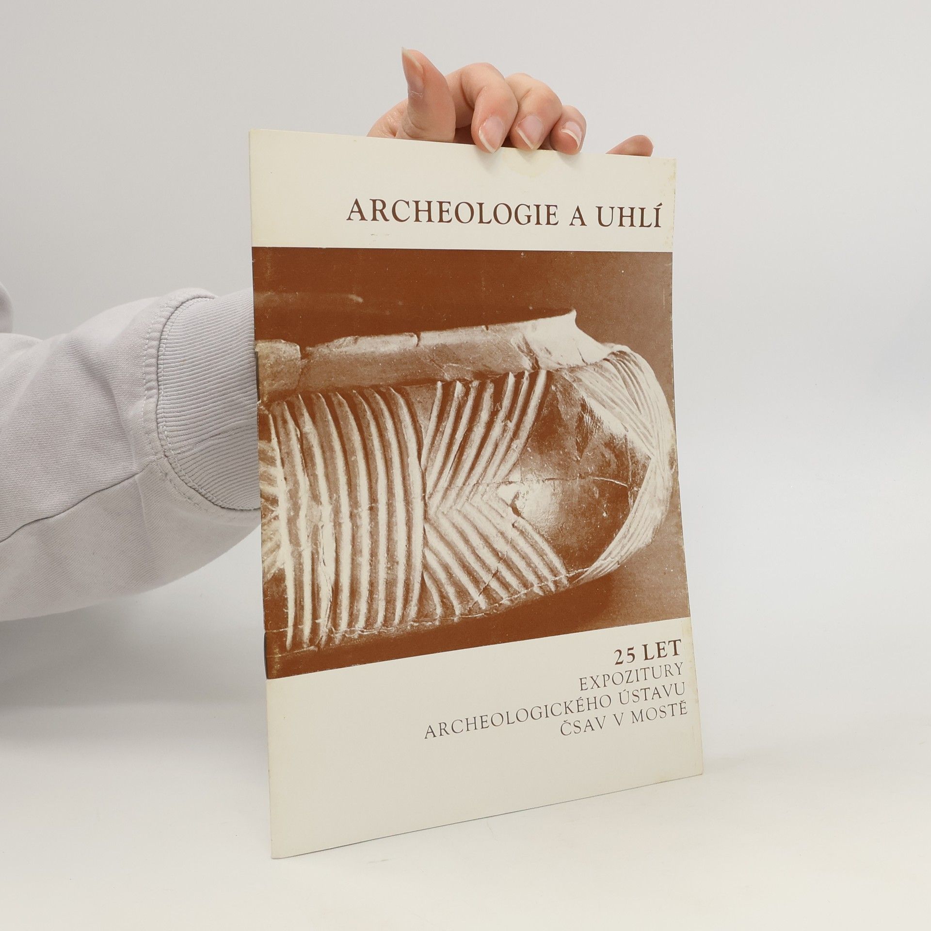 Kolektív autorov Archeologie a uhlí
