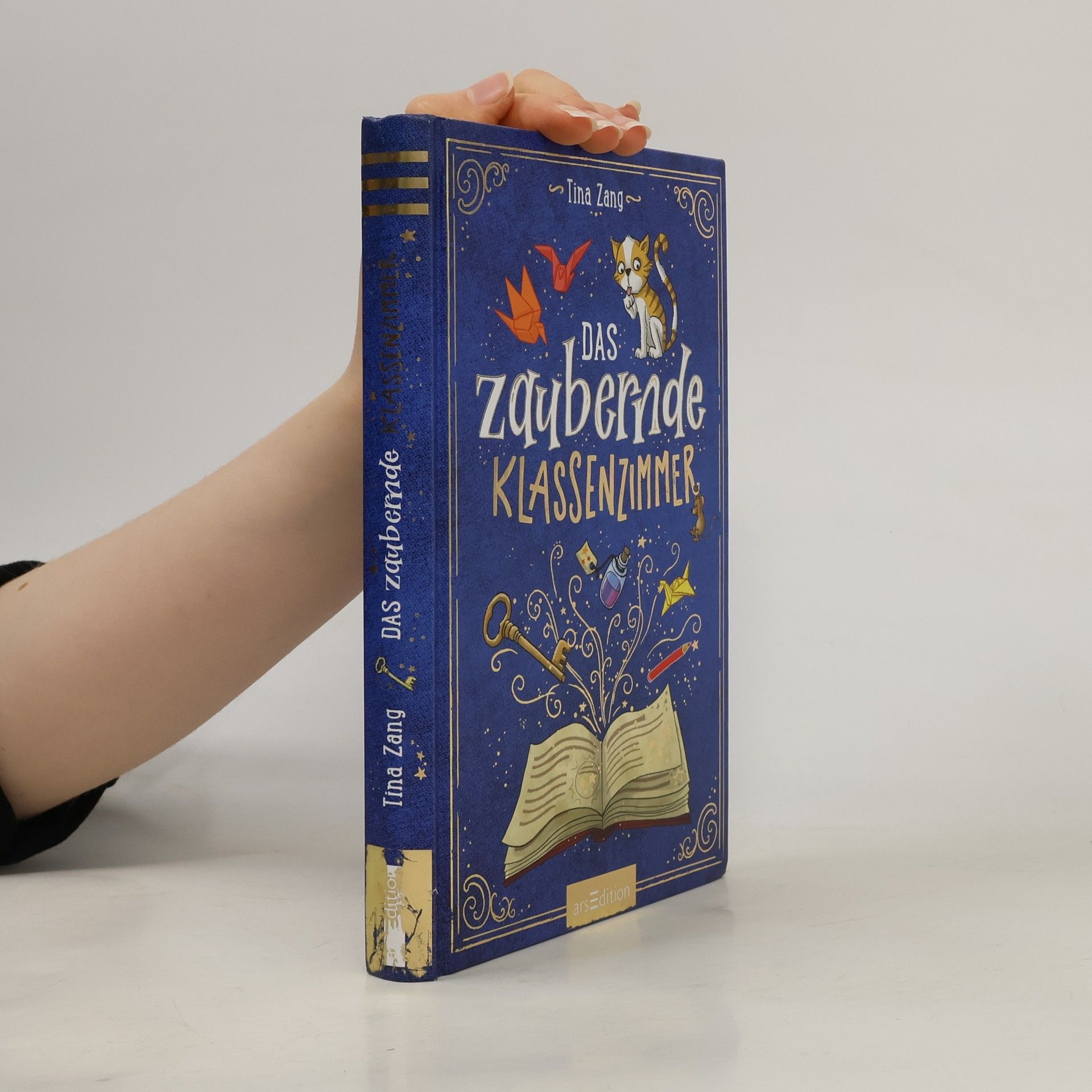 Tina Zang Das zaubernde Klassenzimmer (Das zaubernde Klassenzimmer 1)
