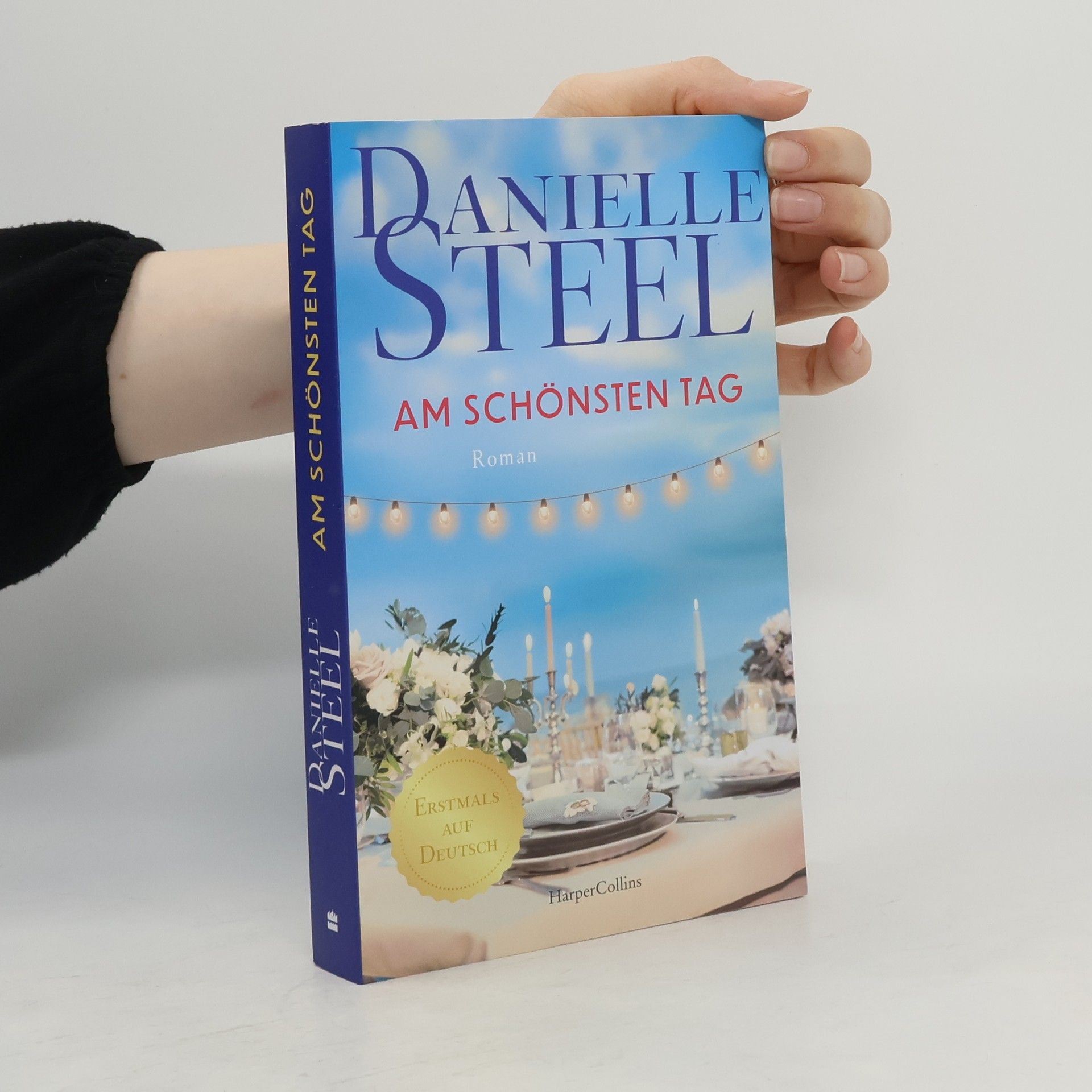 Danielle Steel Am schönsten Tag