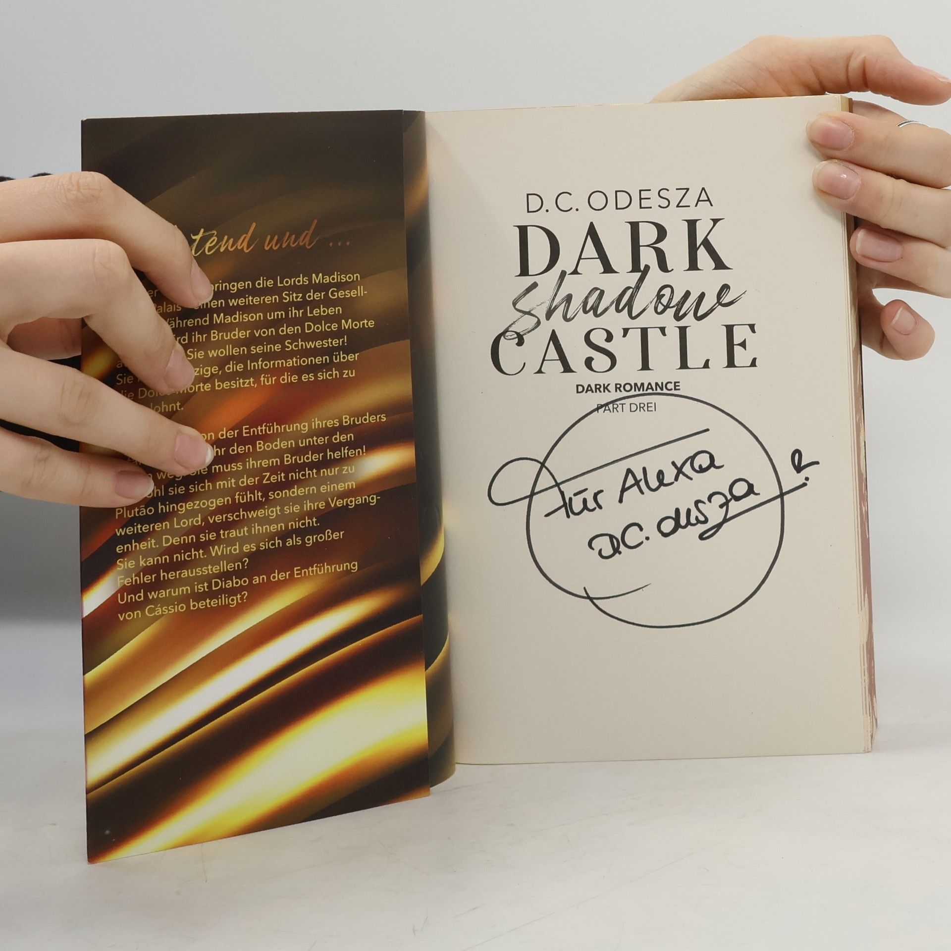 D. C. Odesza Dark Shadow Castle