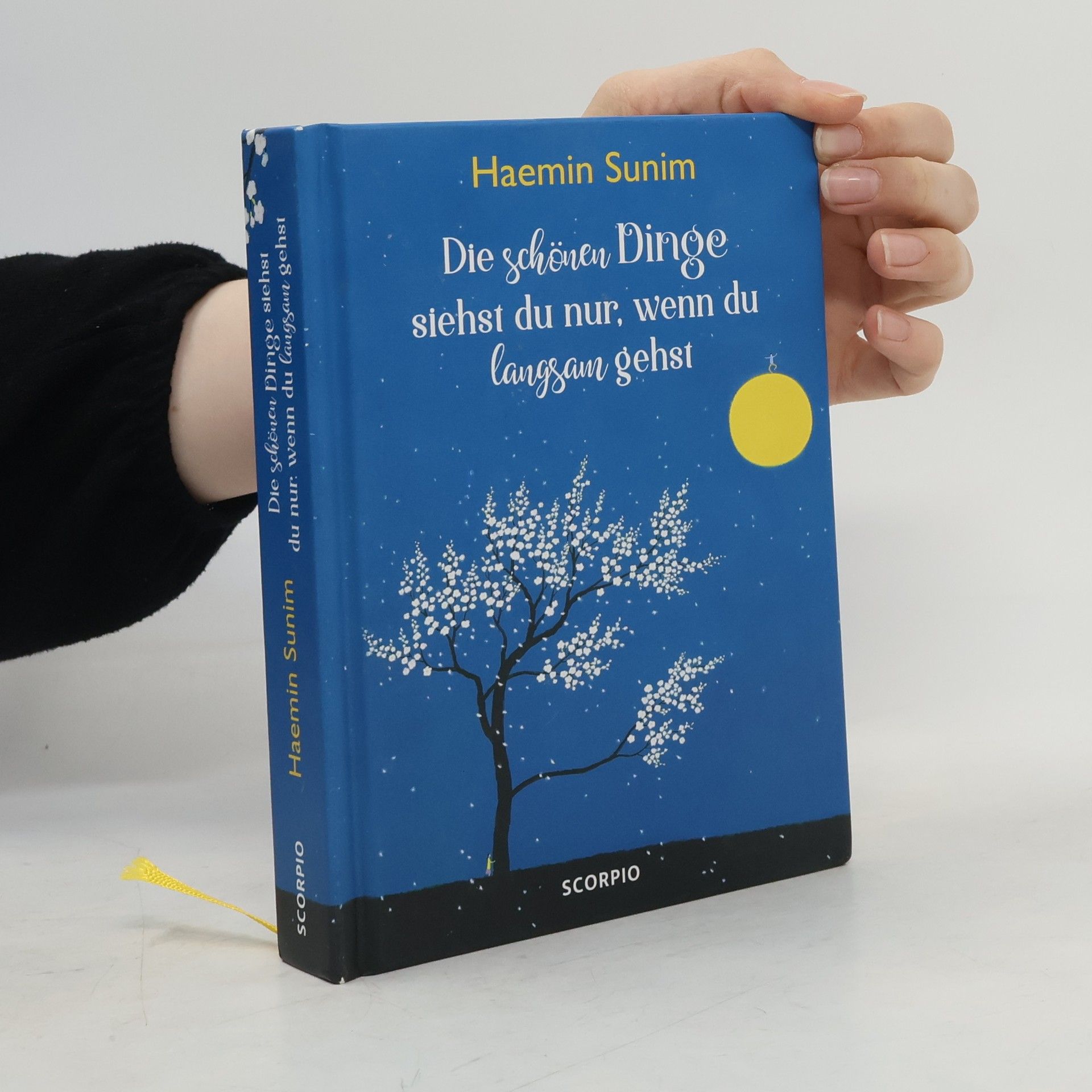 Haemin Die schönen Dinge siehst du nur, wenn du langsam gehst