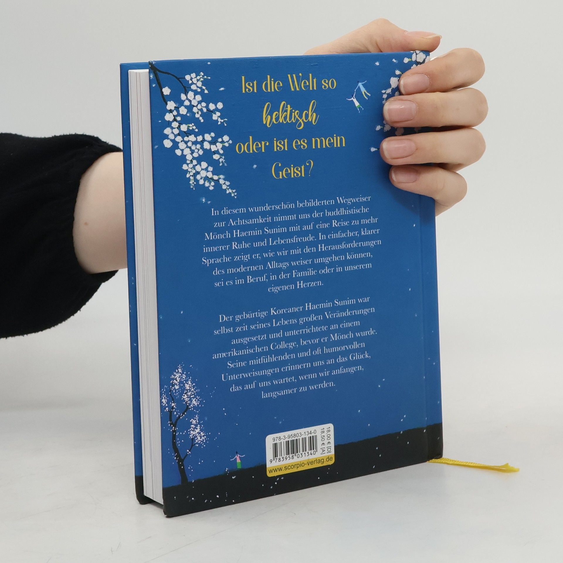 Haemin Die schönen Dinge siehst du nur, wenn du langsam gehst