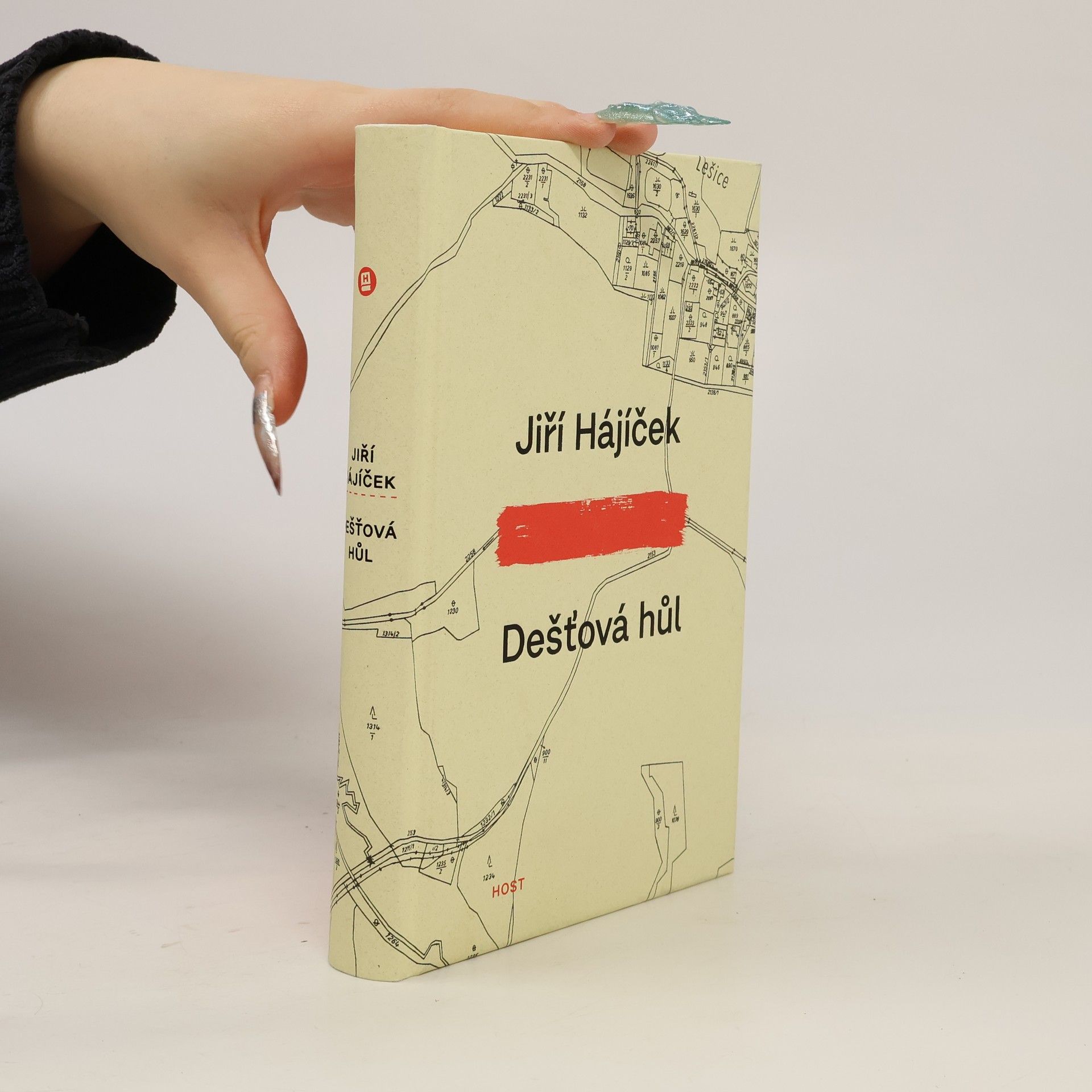Jiří Hájíček Dešťová hůl