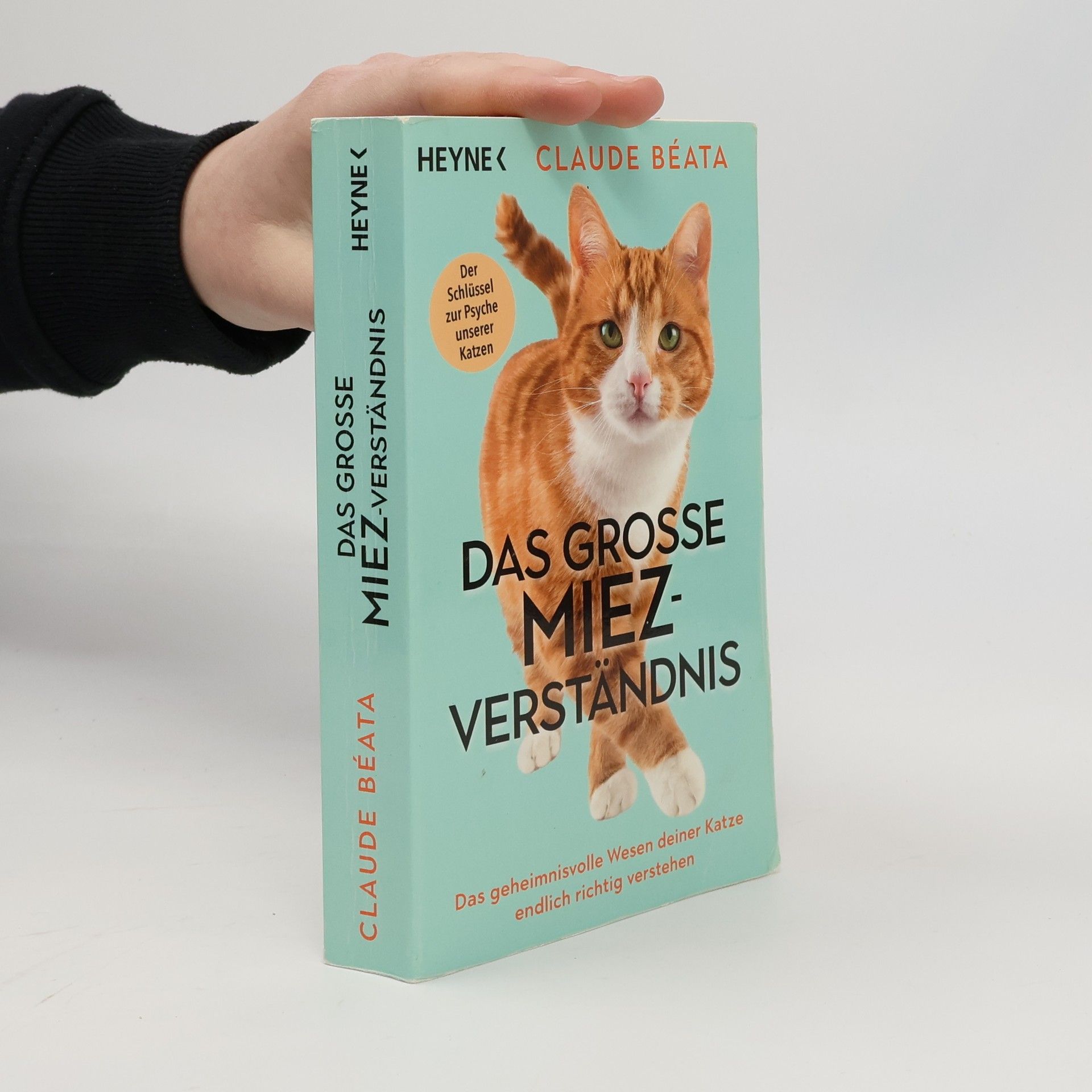 Das große Miez-Verständnis