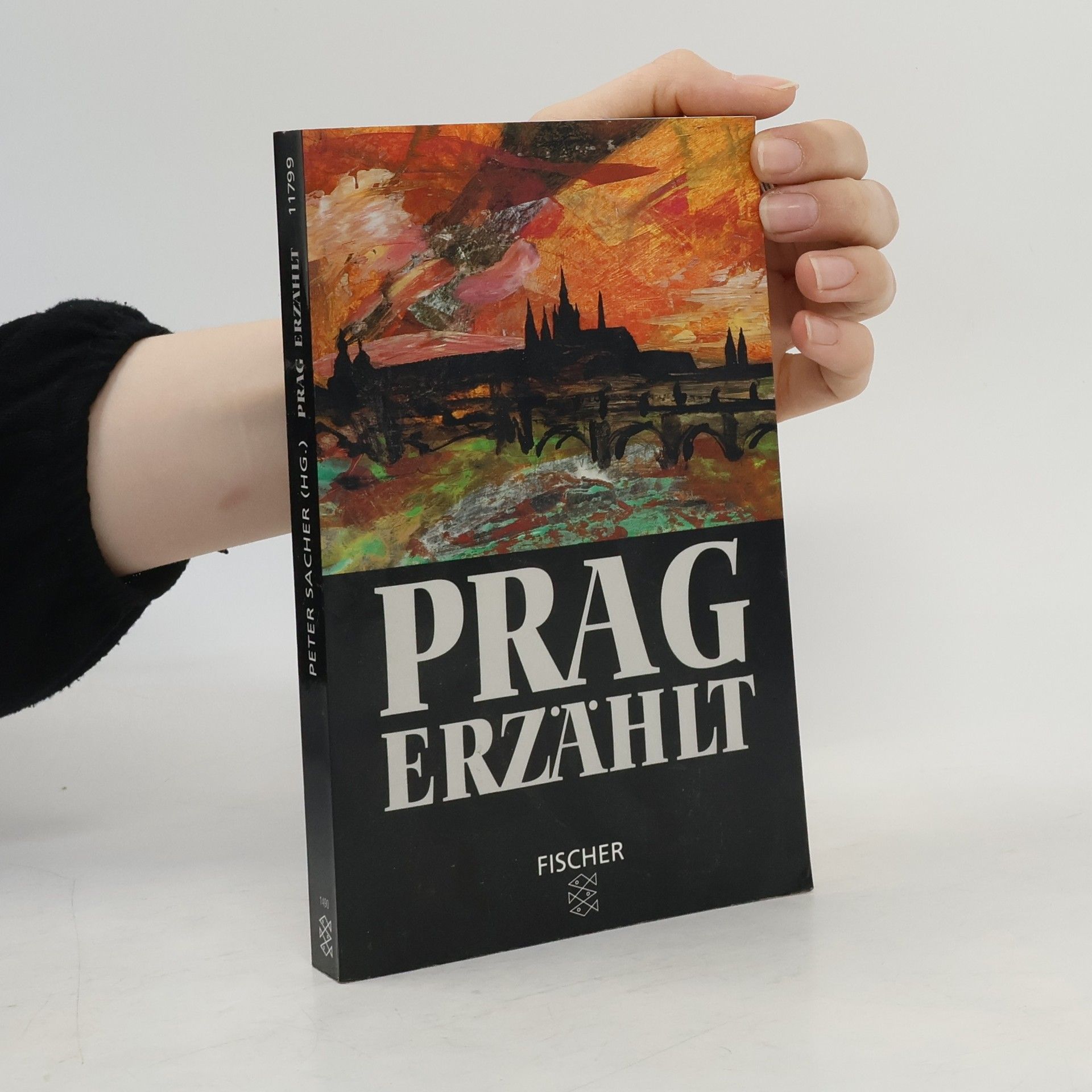 Petr Sacher Prag erzählt