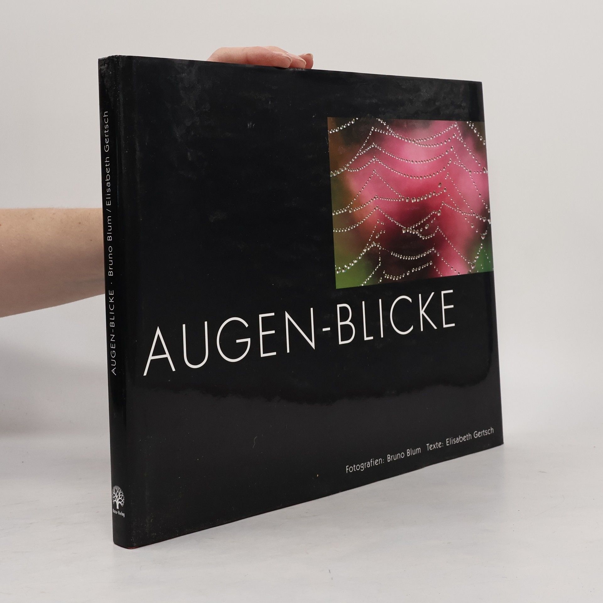 Elisabeth Gertsch Augen-Blicke
