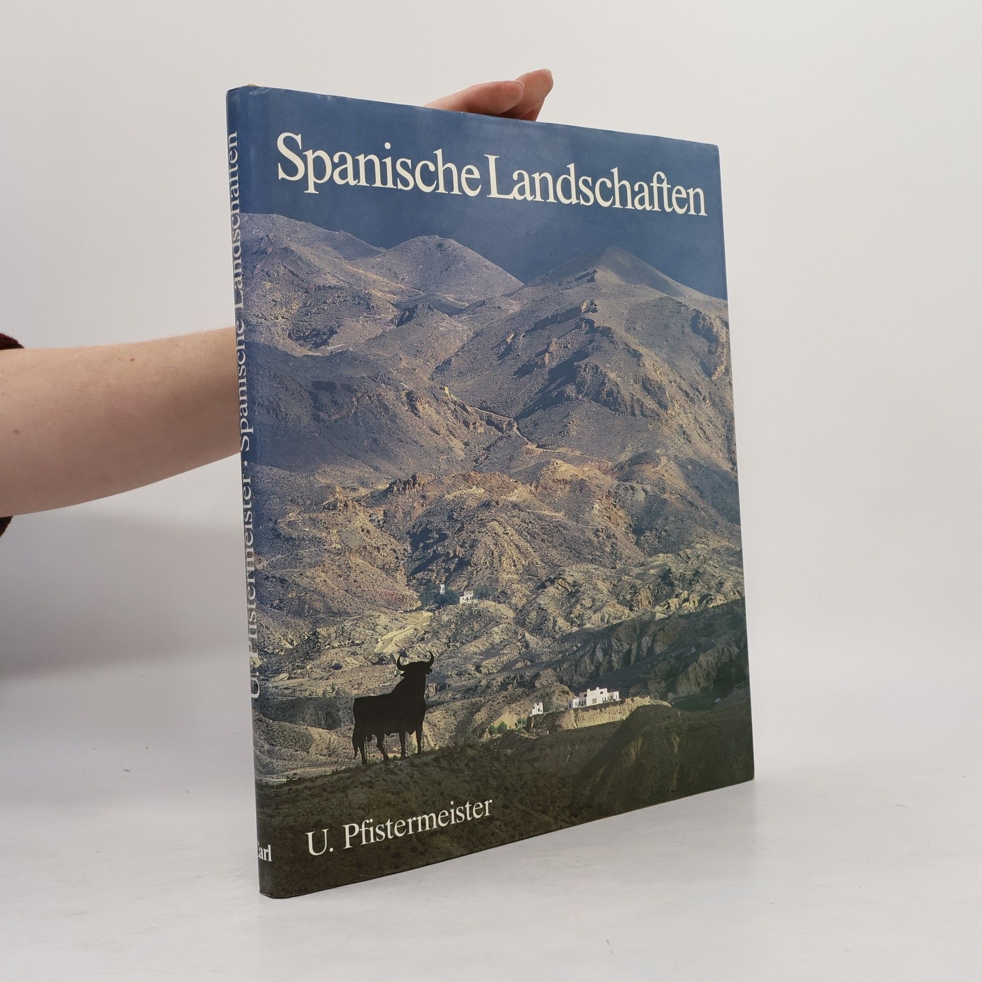 Ursula Pfistermeister Spanische Landschaften