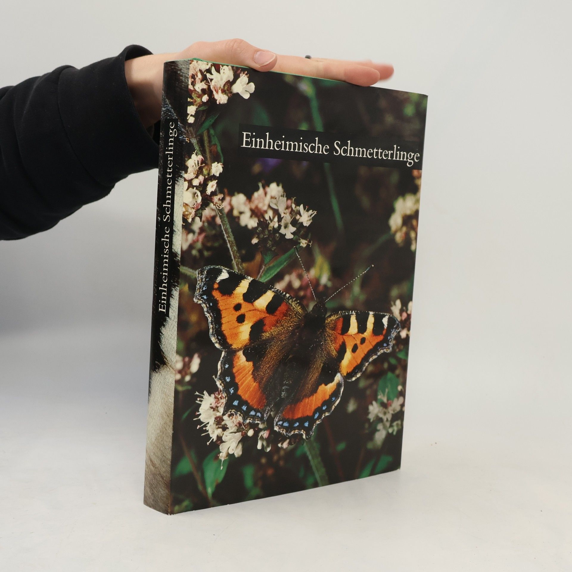 Autorenkollektiv Einheimnische Schmetterlinge