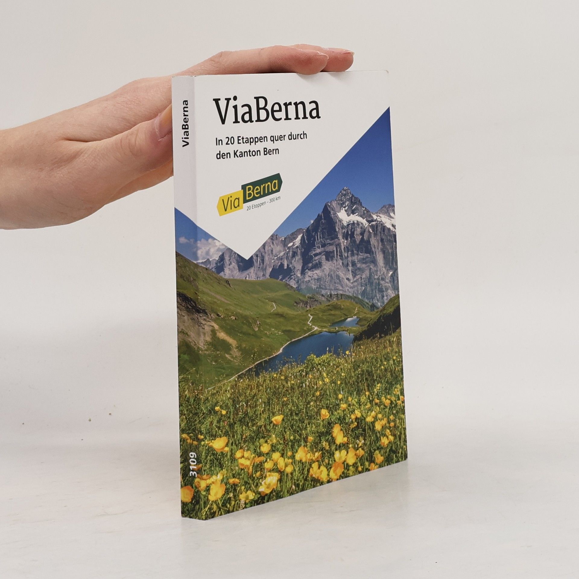 Godi Huber ViaBerna