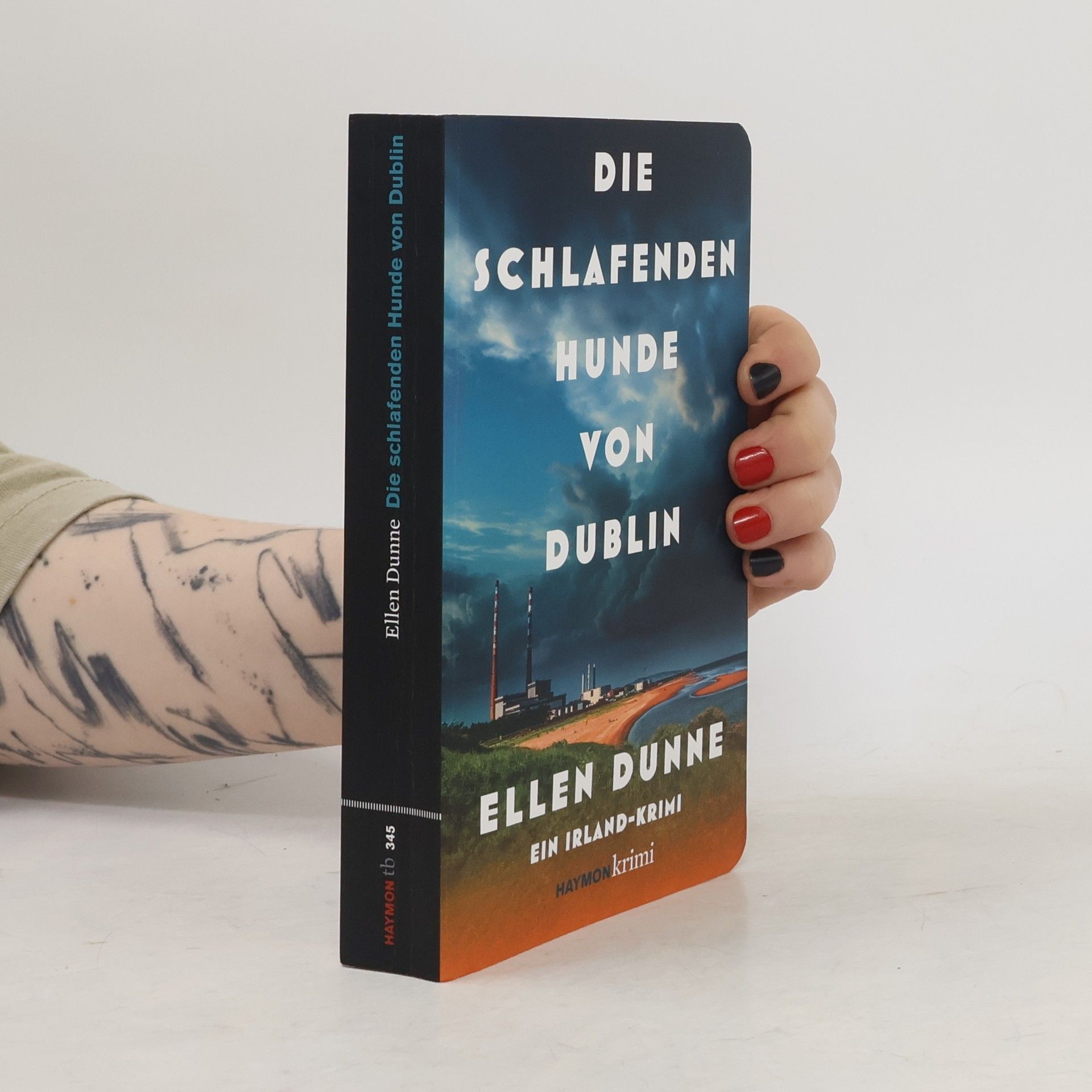 Ellen Dunne Die schlafenden Hunde von Dublin