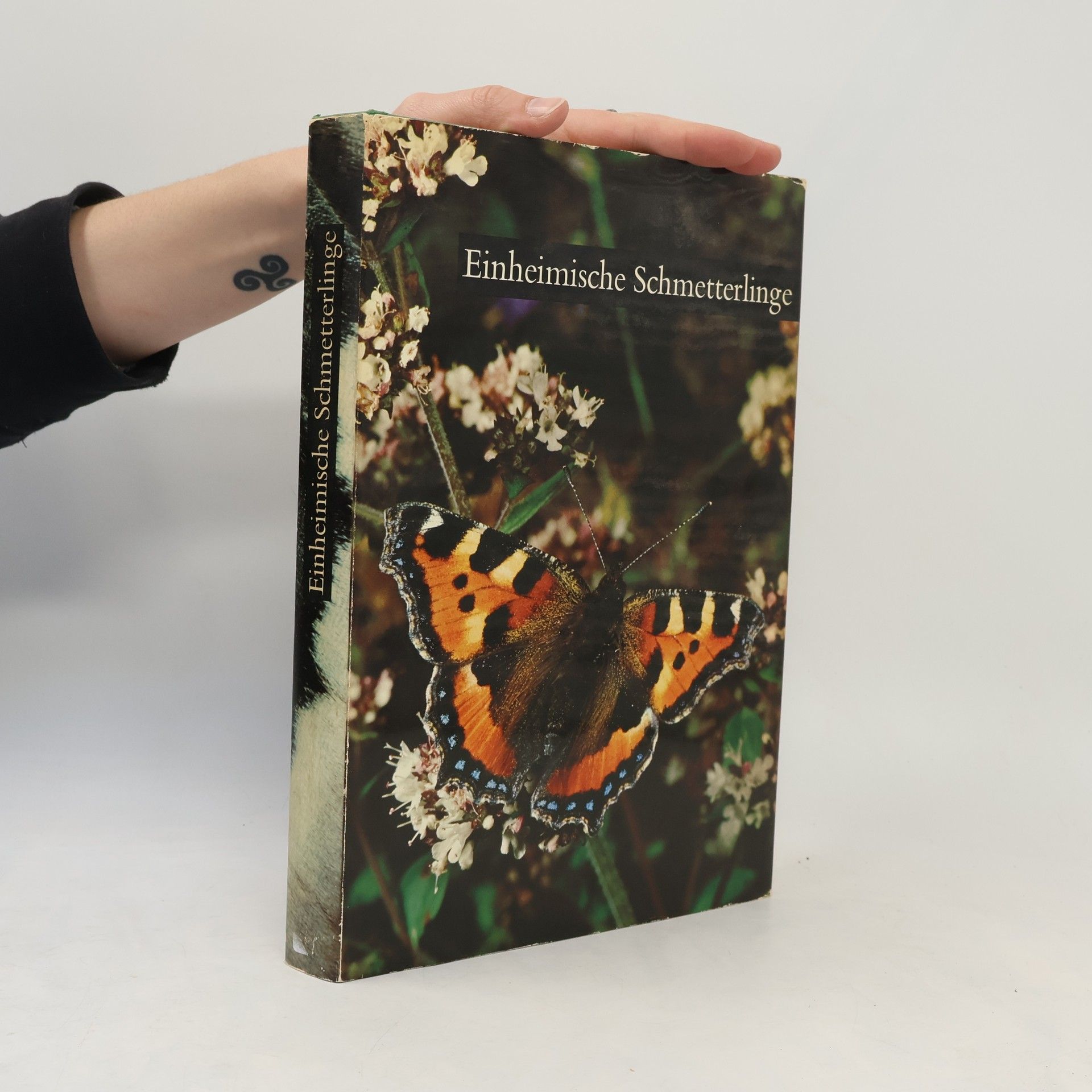 Autorenkollektiv Einheimnische Schmetterlinge