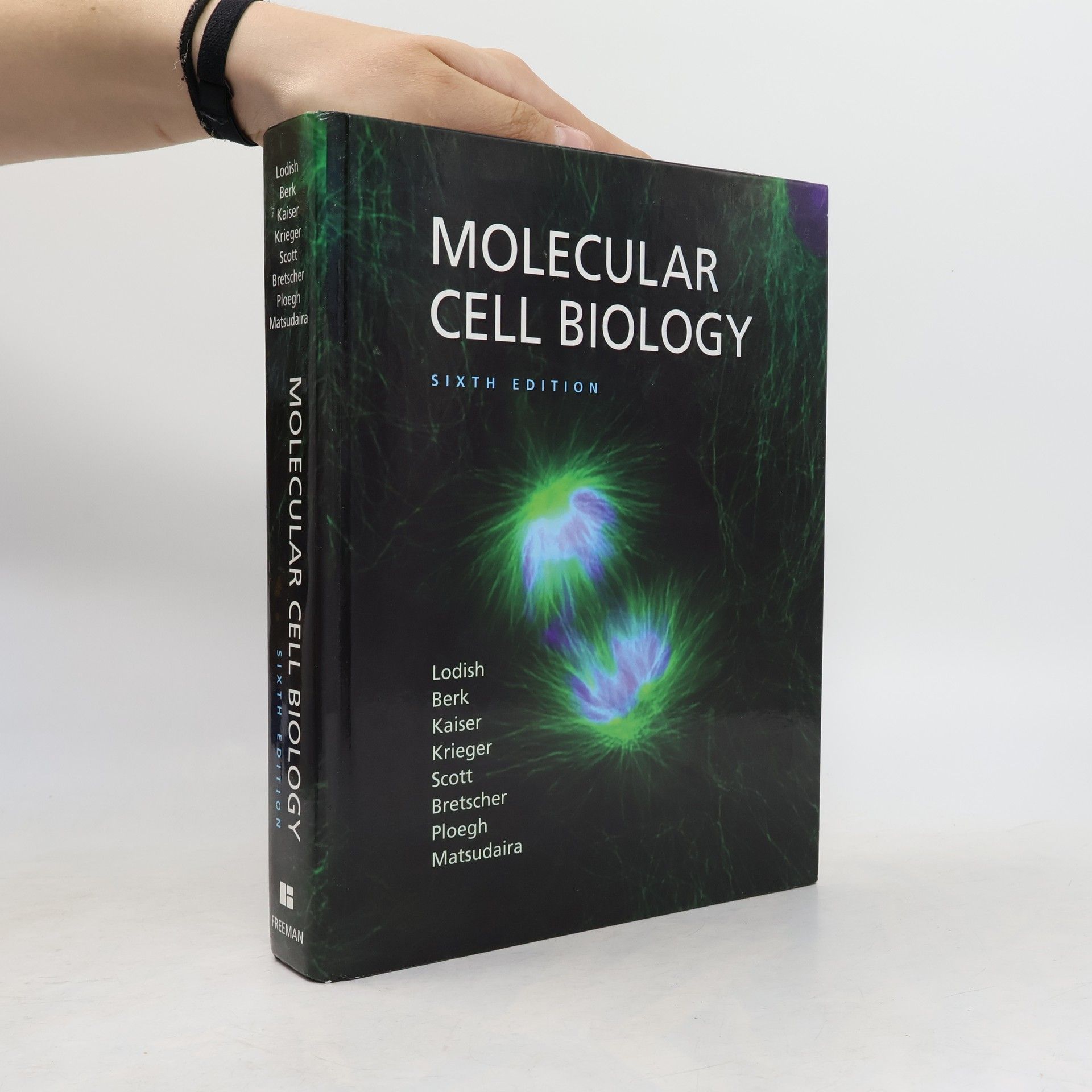 Paul T. Matsudaira Molecular Cell Biology