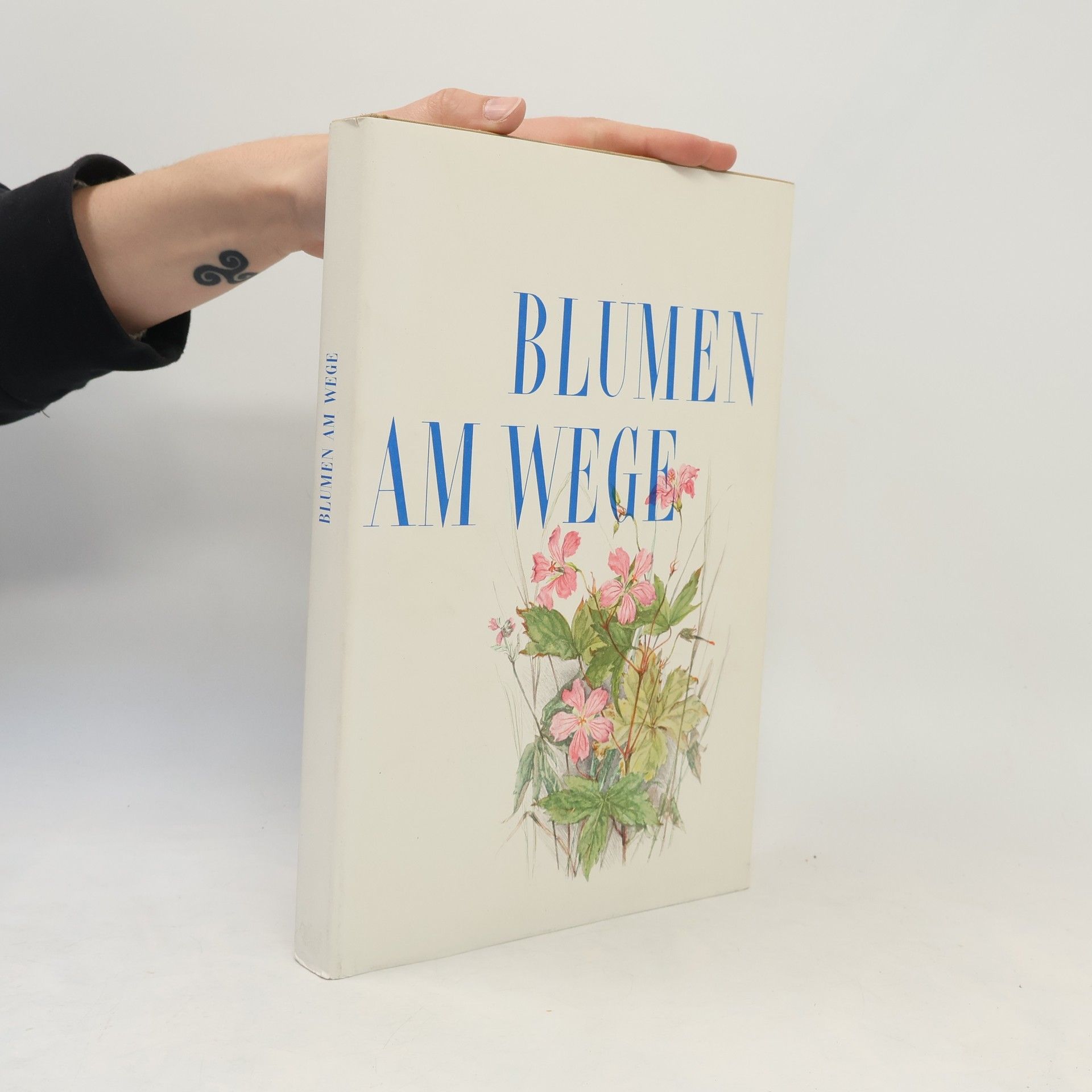 Autorenkollektiv Blumen am Wege