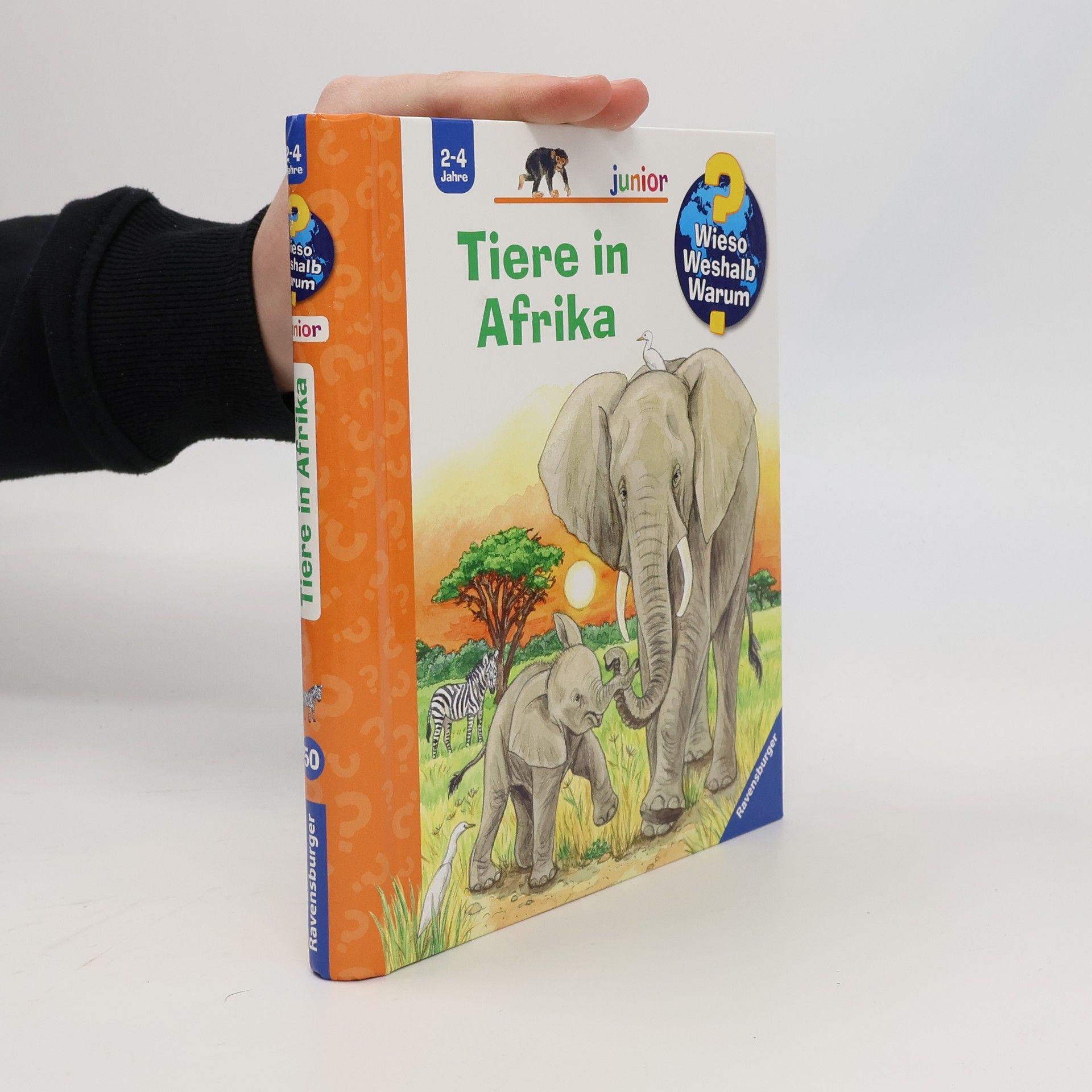 Ursula Weller Tiere in Afrika