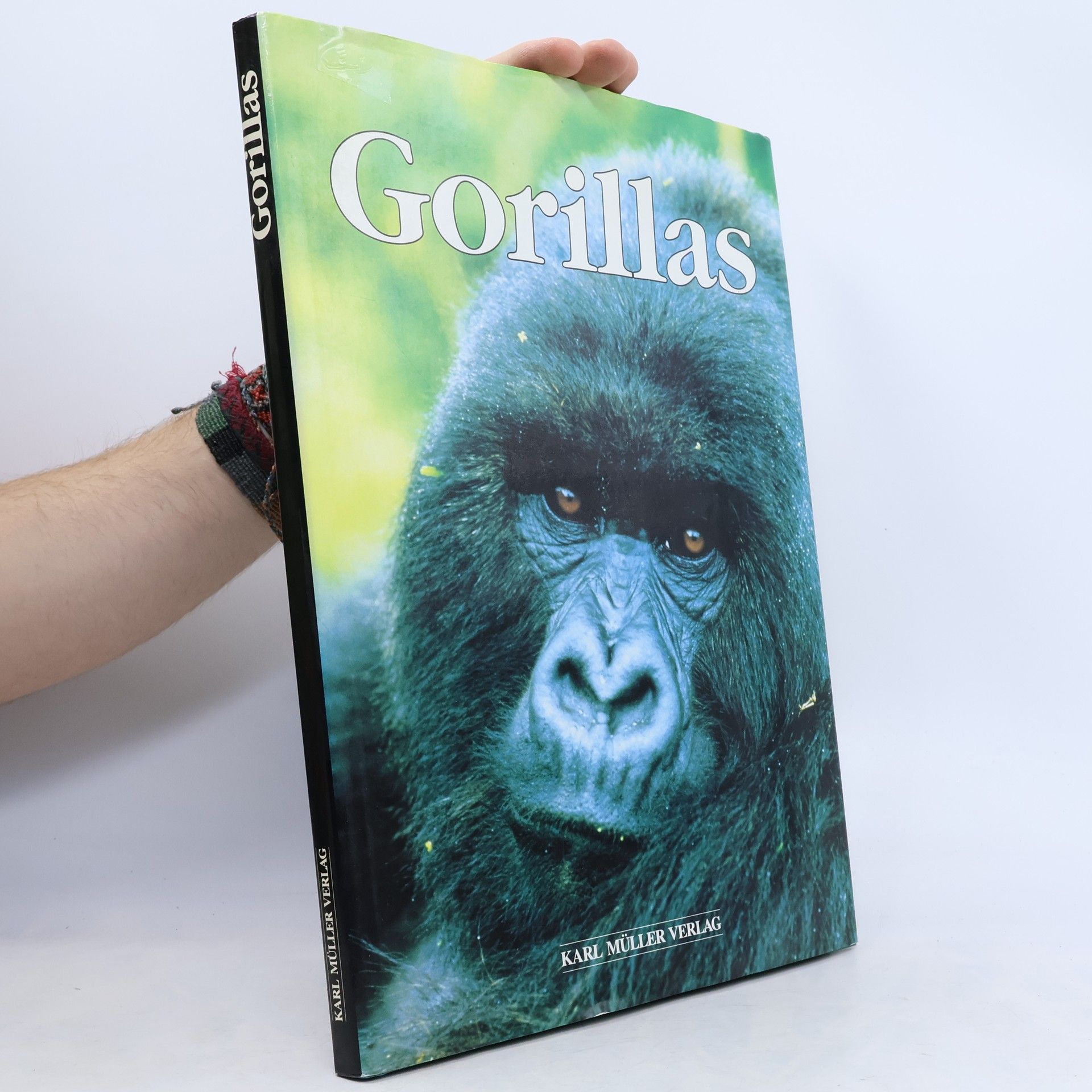 Sara Godwin Gorillas