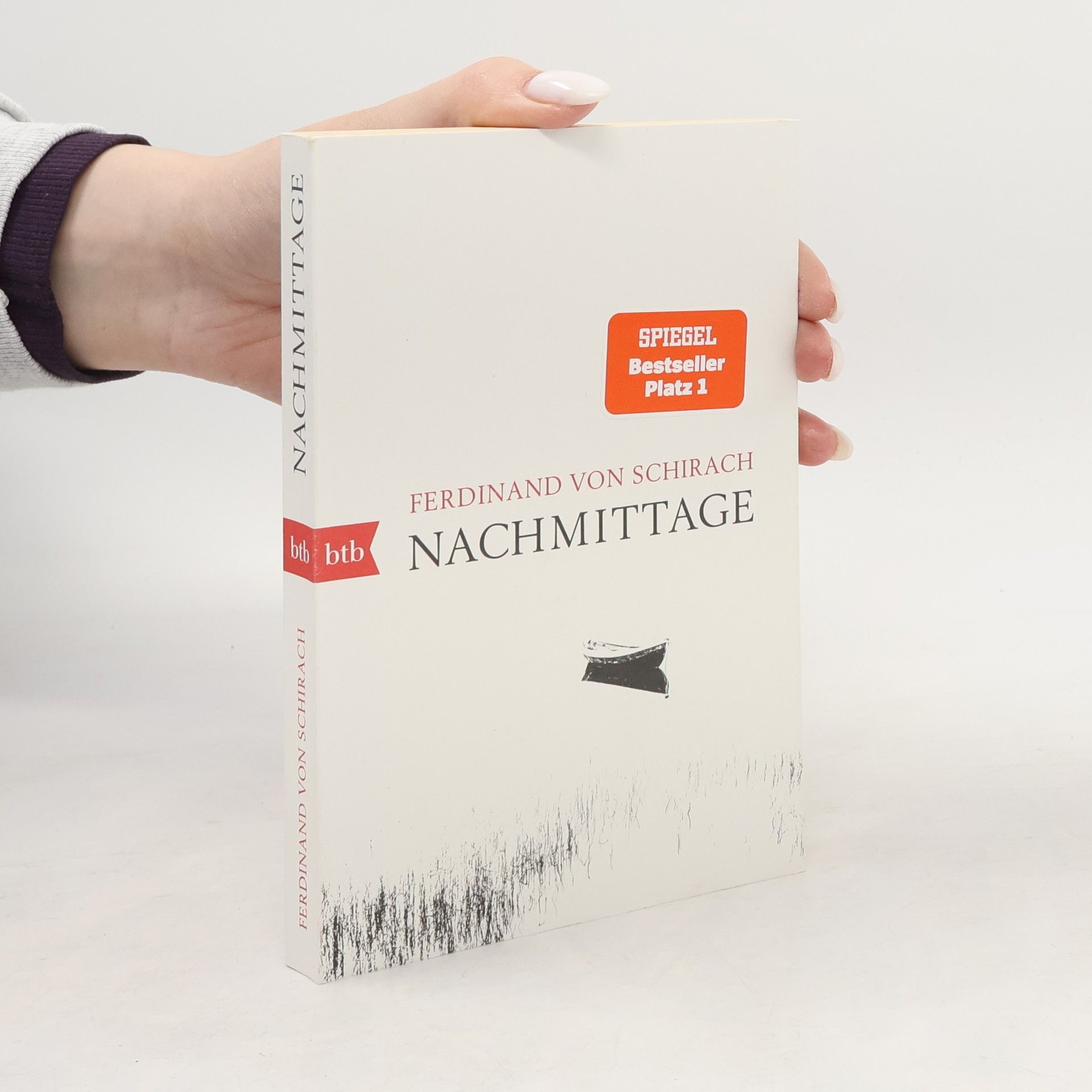 Ferdinand von Schirach Nachmittage
