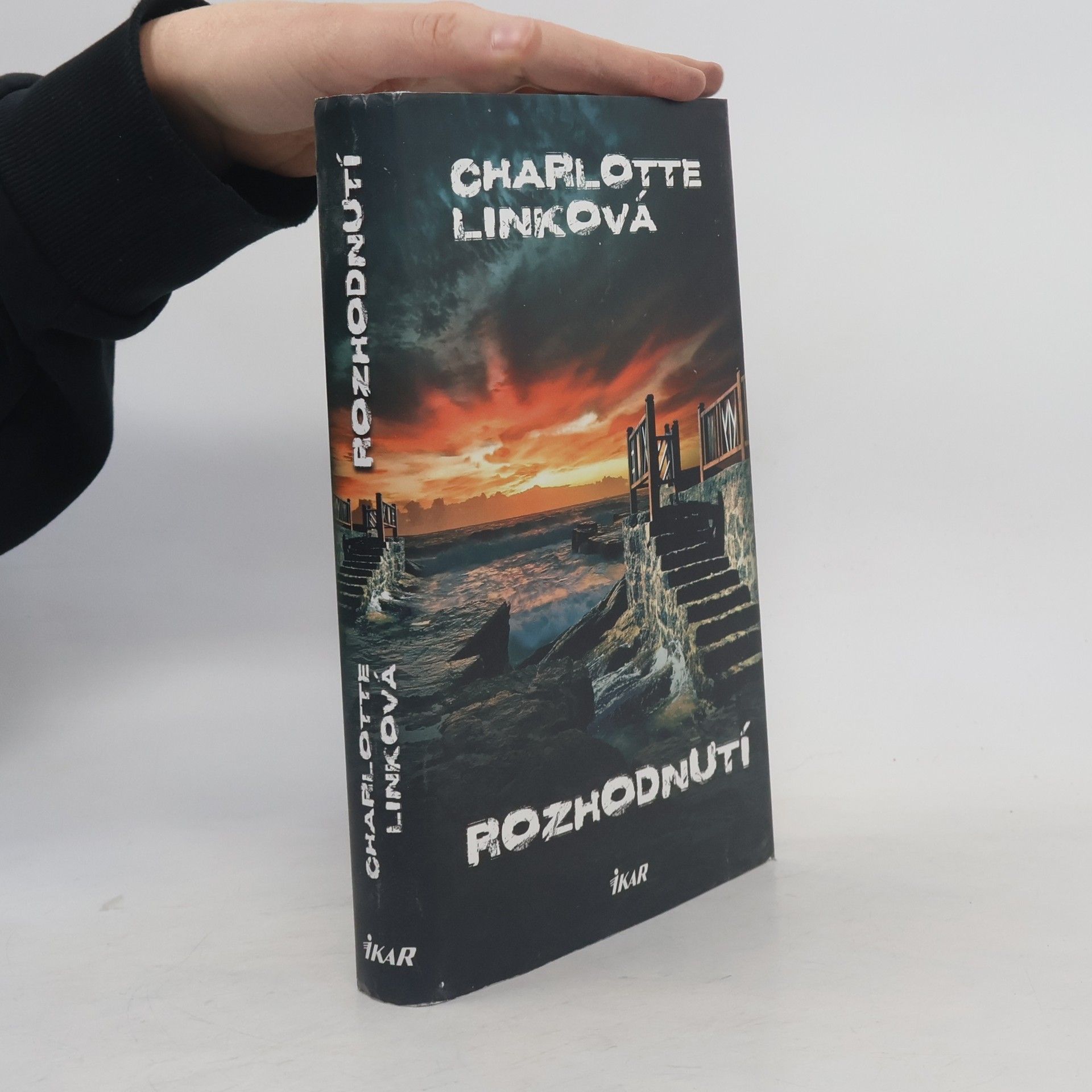 Charlotte Link Rozhodnutí