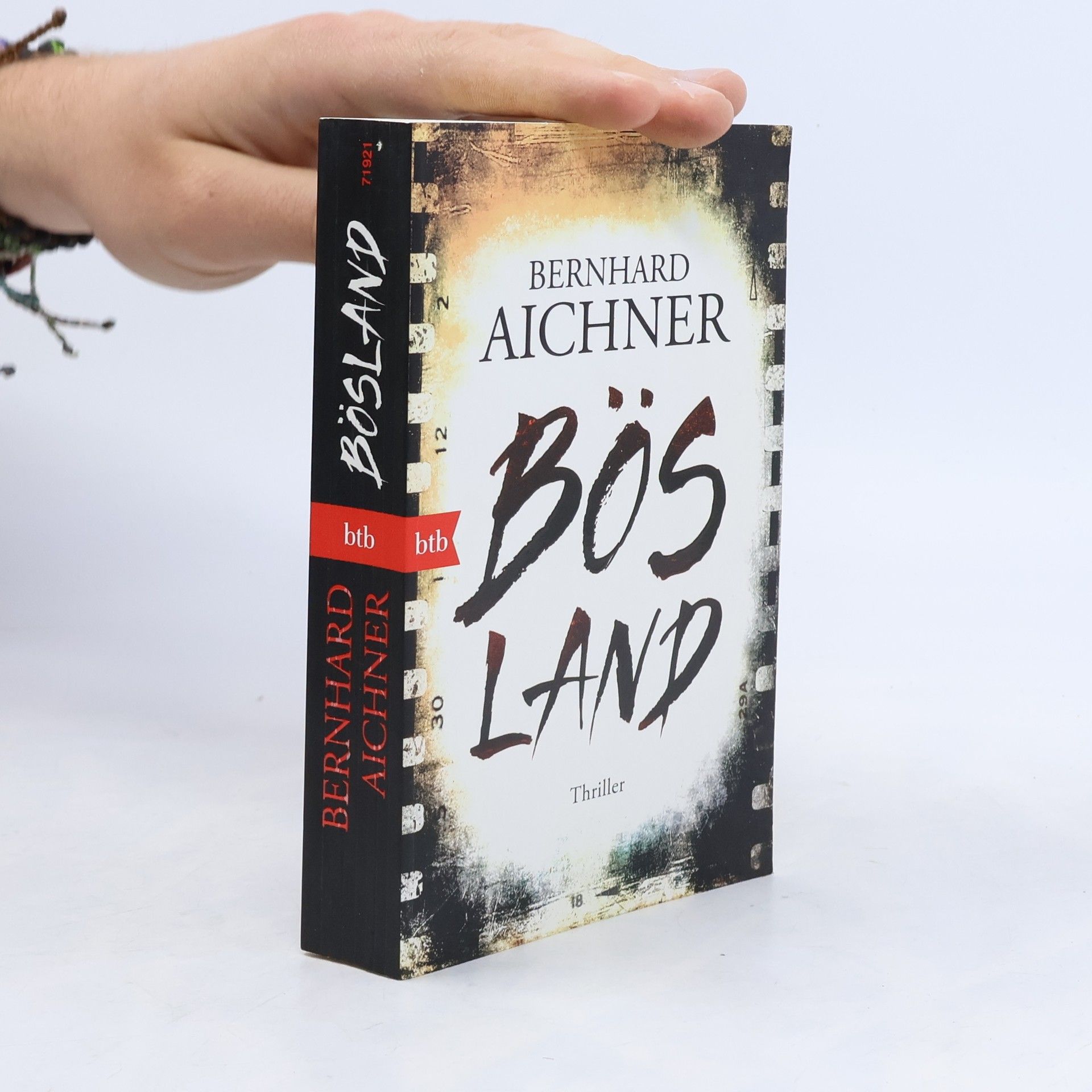 Bernhard Aichner Bösland