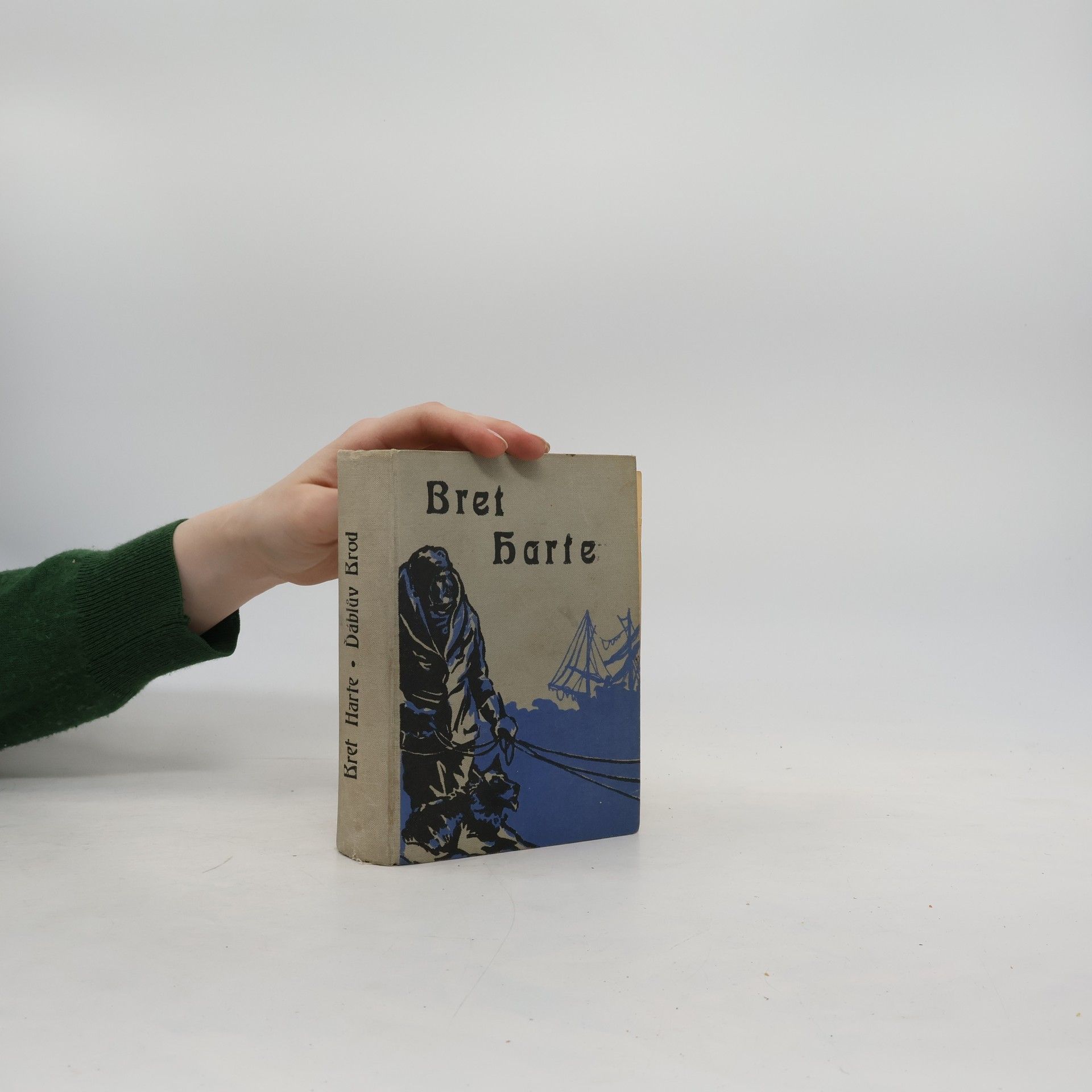 Bret Harte Ďáblův brod