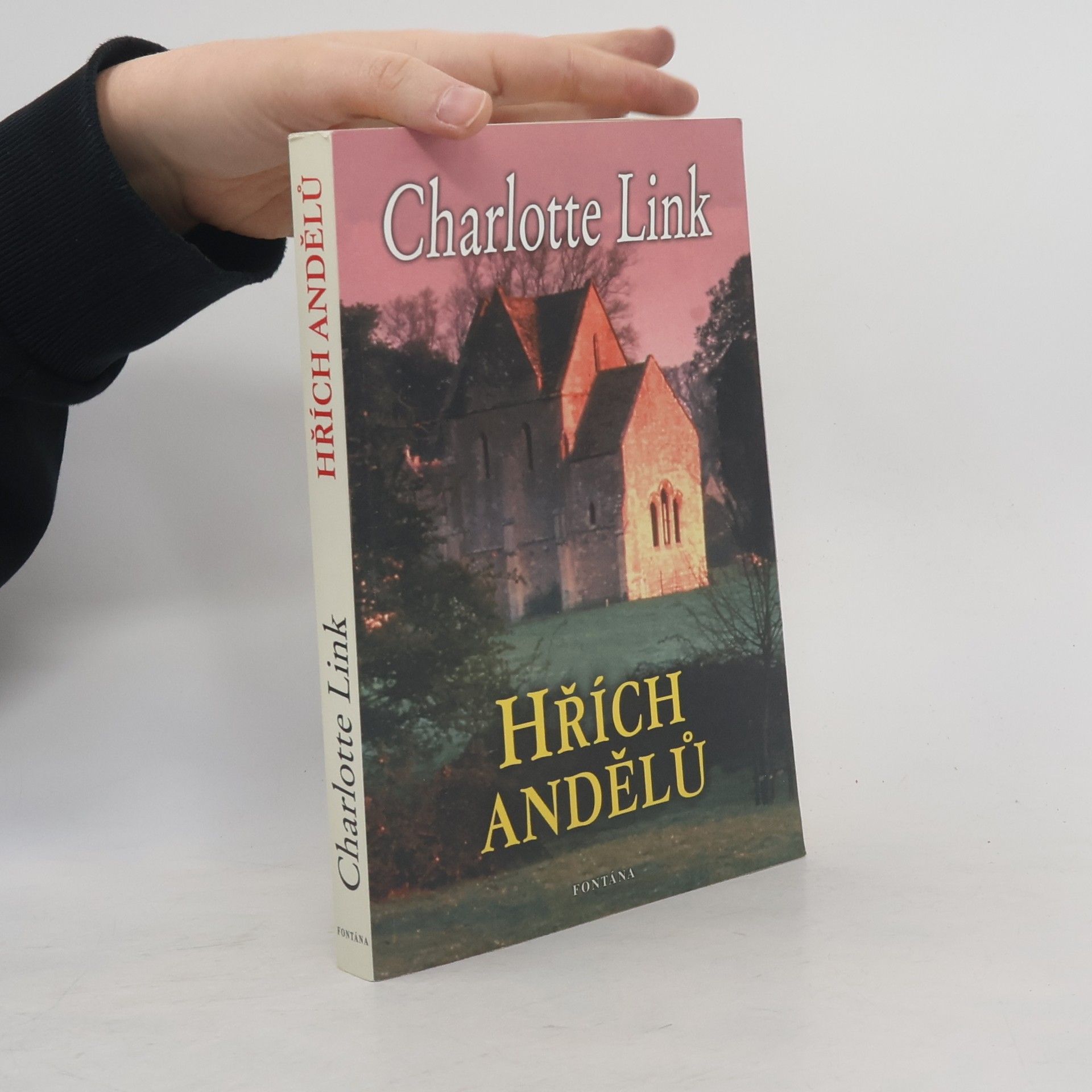 Charlotte Link Hřích andělů