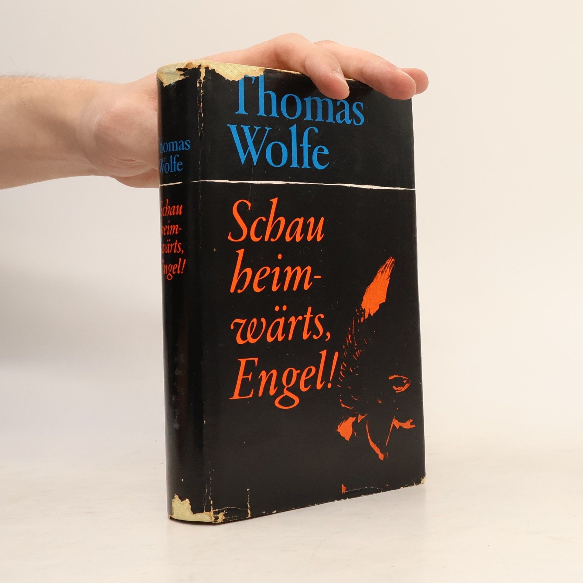Tom Wolfe Schau heimwärts, Engel!