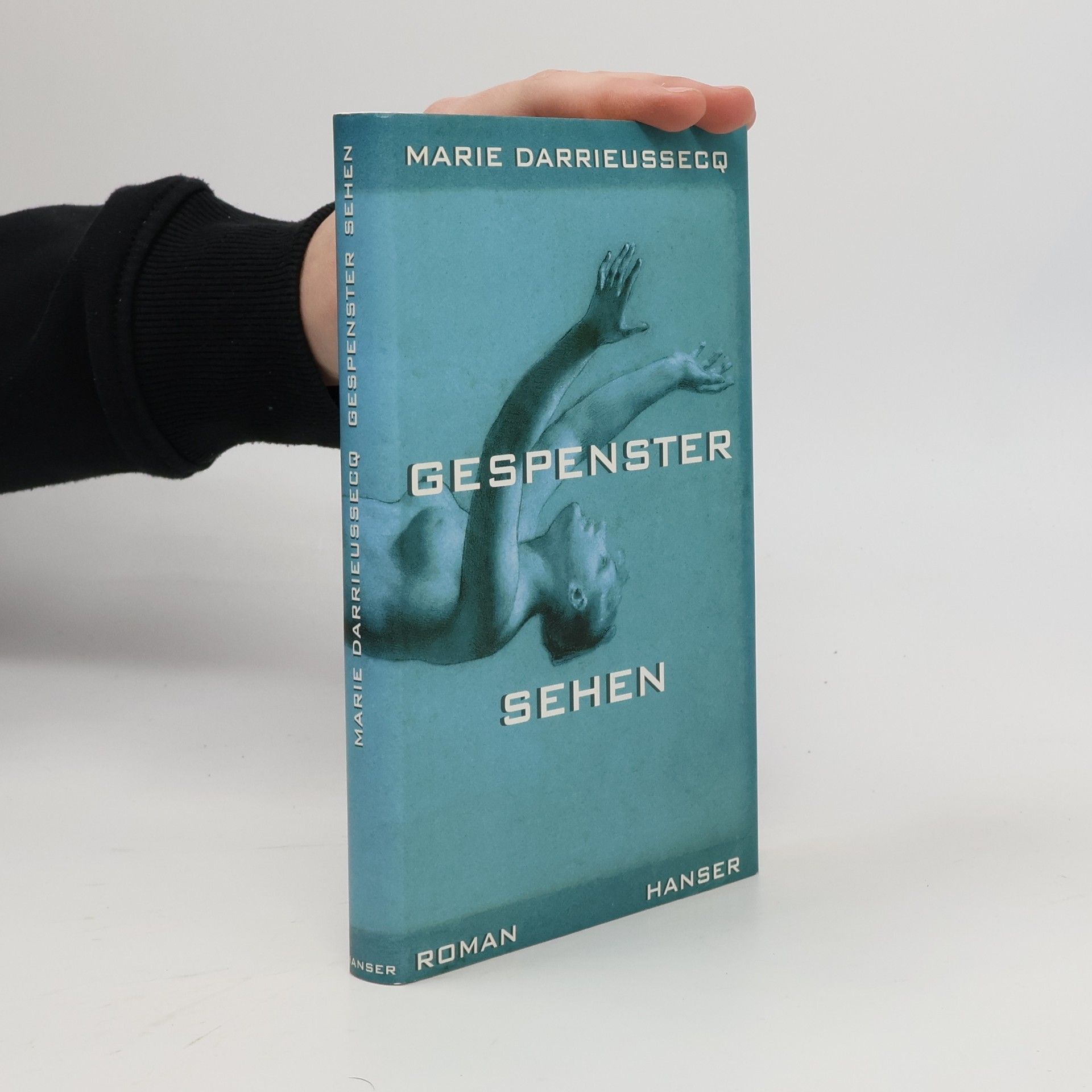 Marie Darrieussecq Gespenster sehen