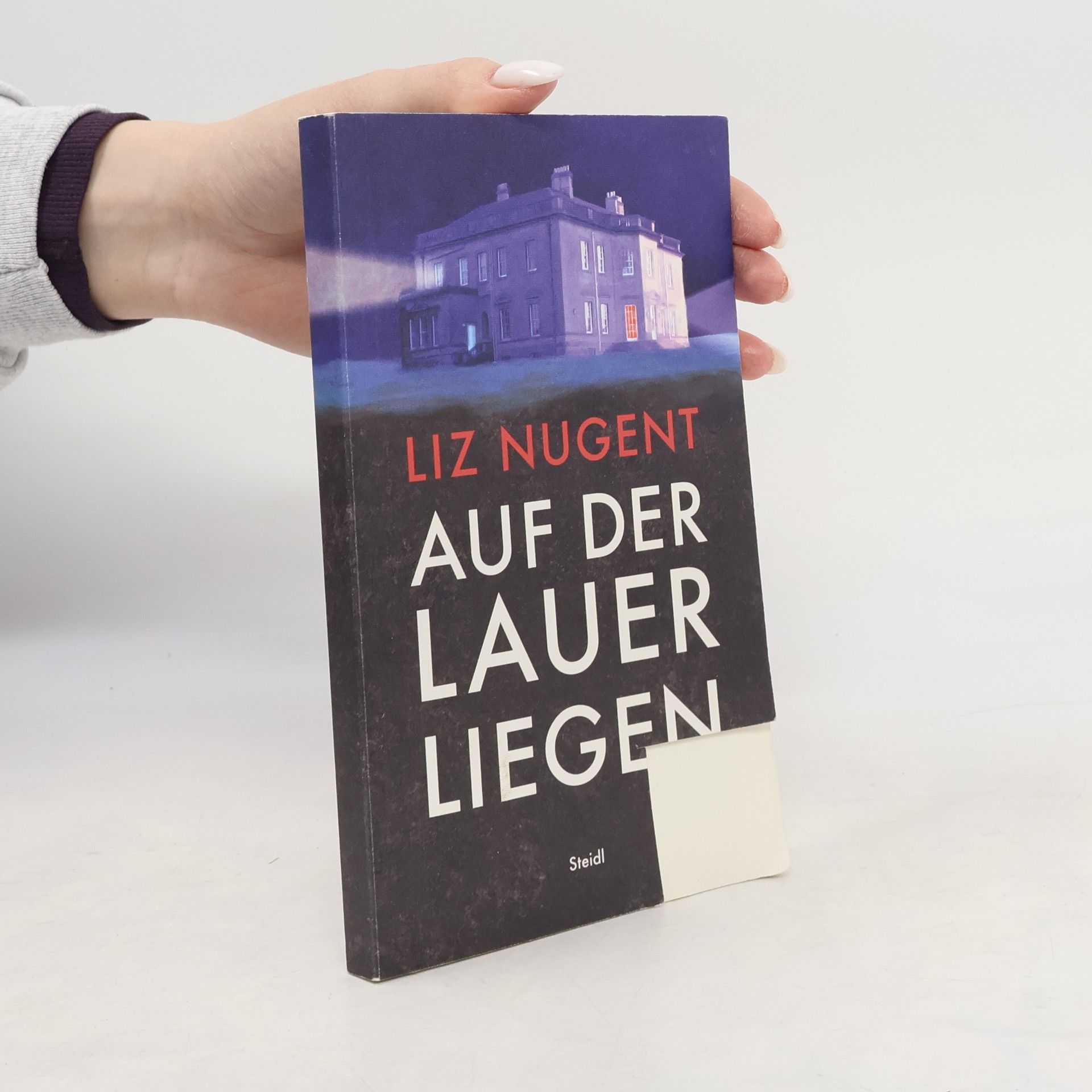 Liz Nugent Auf der Lauer liegen