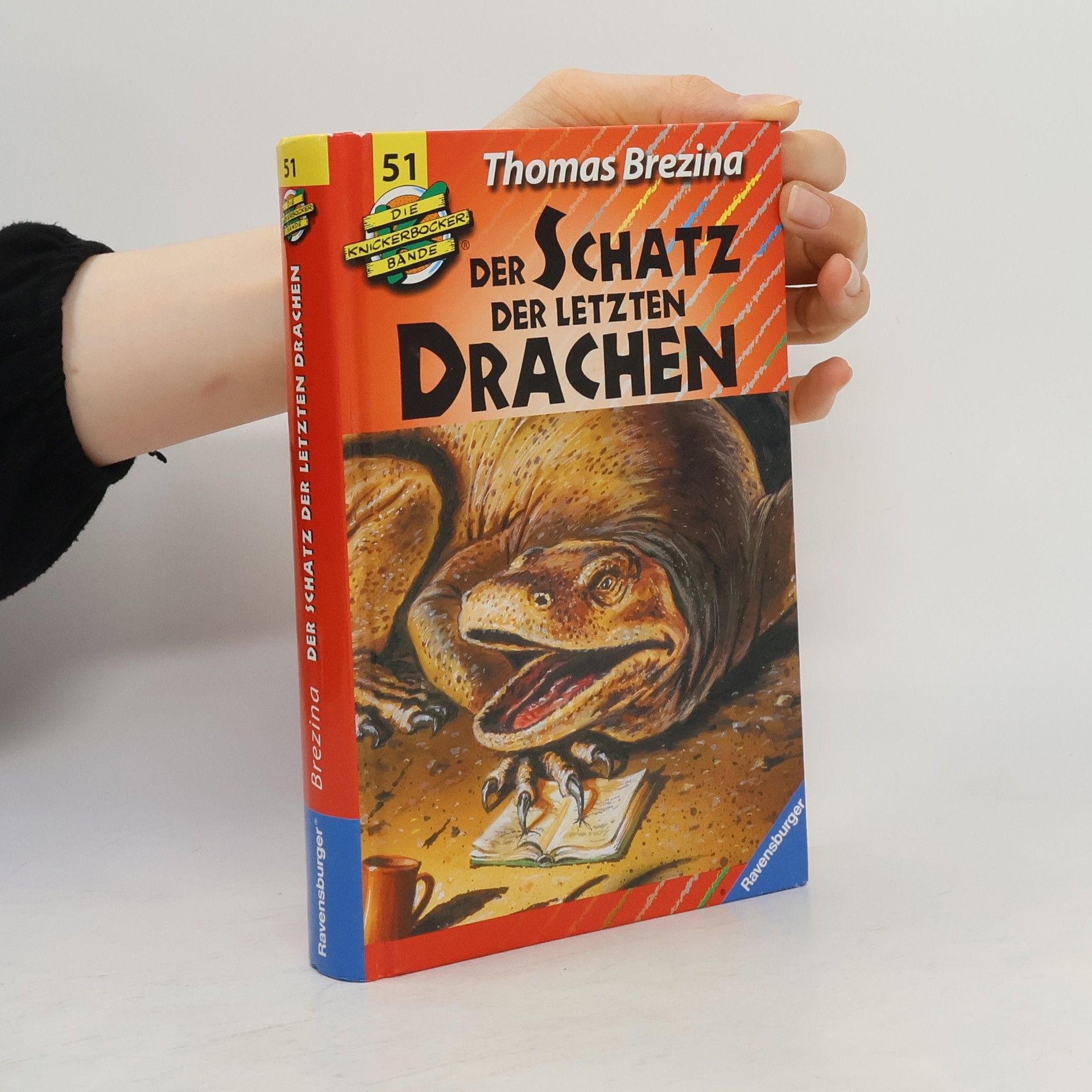 Thomas Brezina Die Knickerbocker-Bande: Der Schatz der letzten Drachen