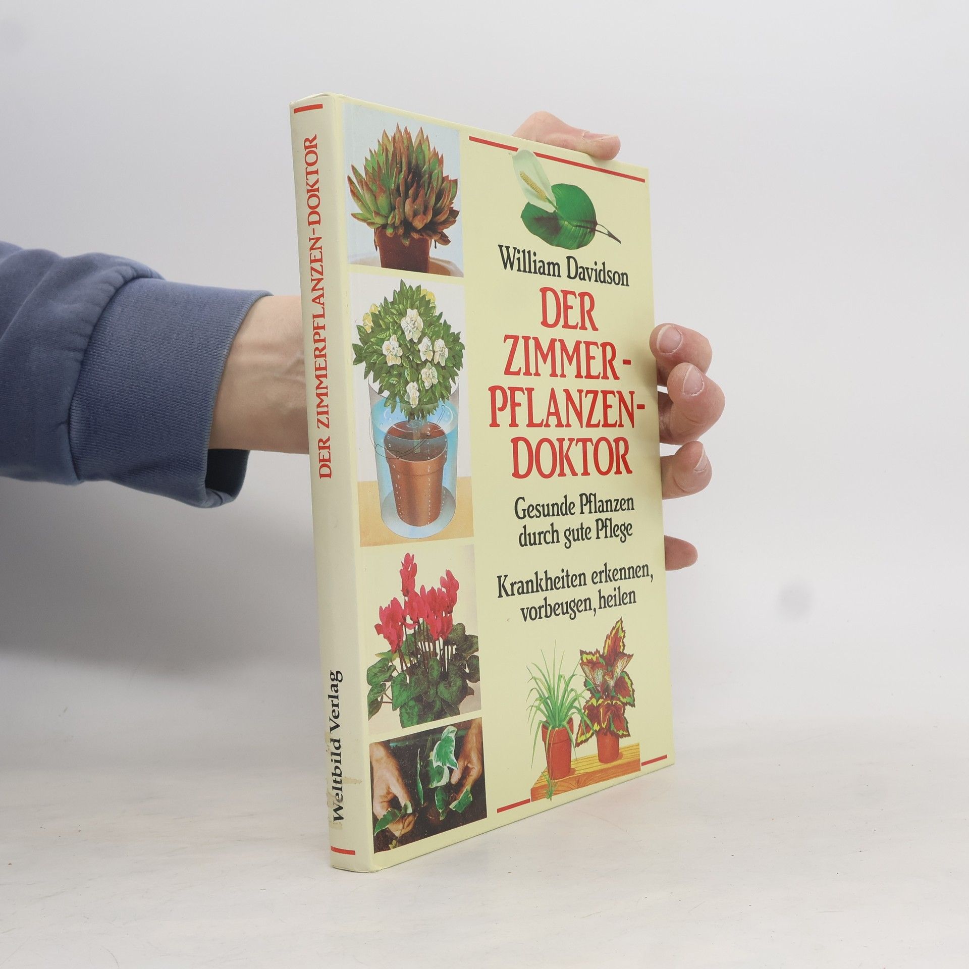 William Davidson Der Zimmerpflanzendoktor