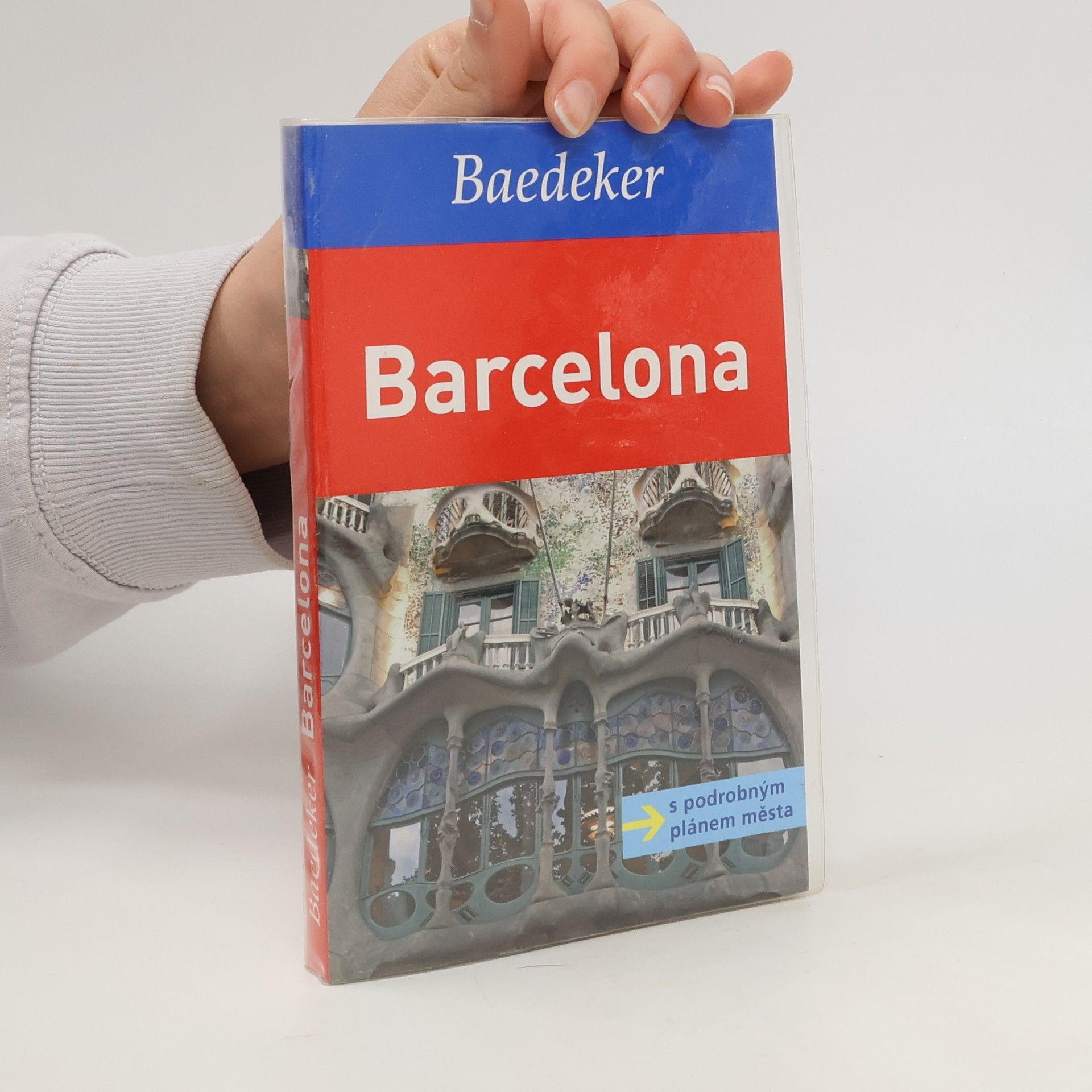 Dorothea Massmann Barcelona