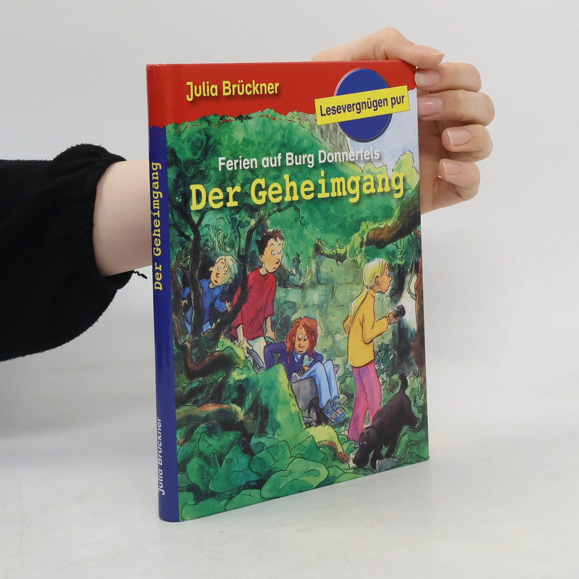 Ferien auf Burg Donnerfels. Der Geheimgang