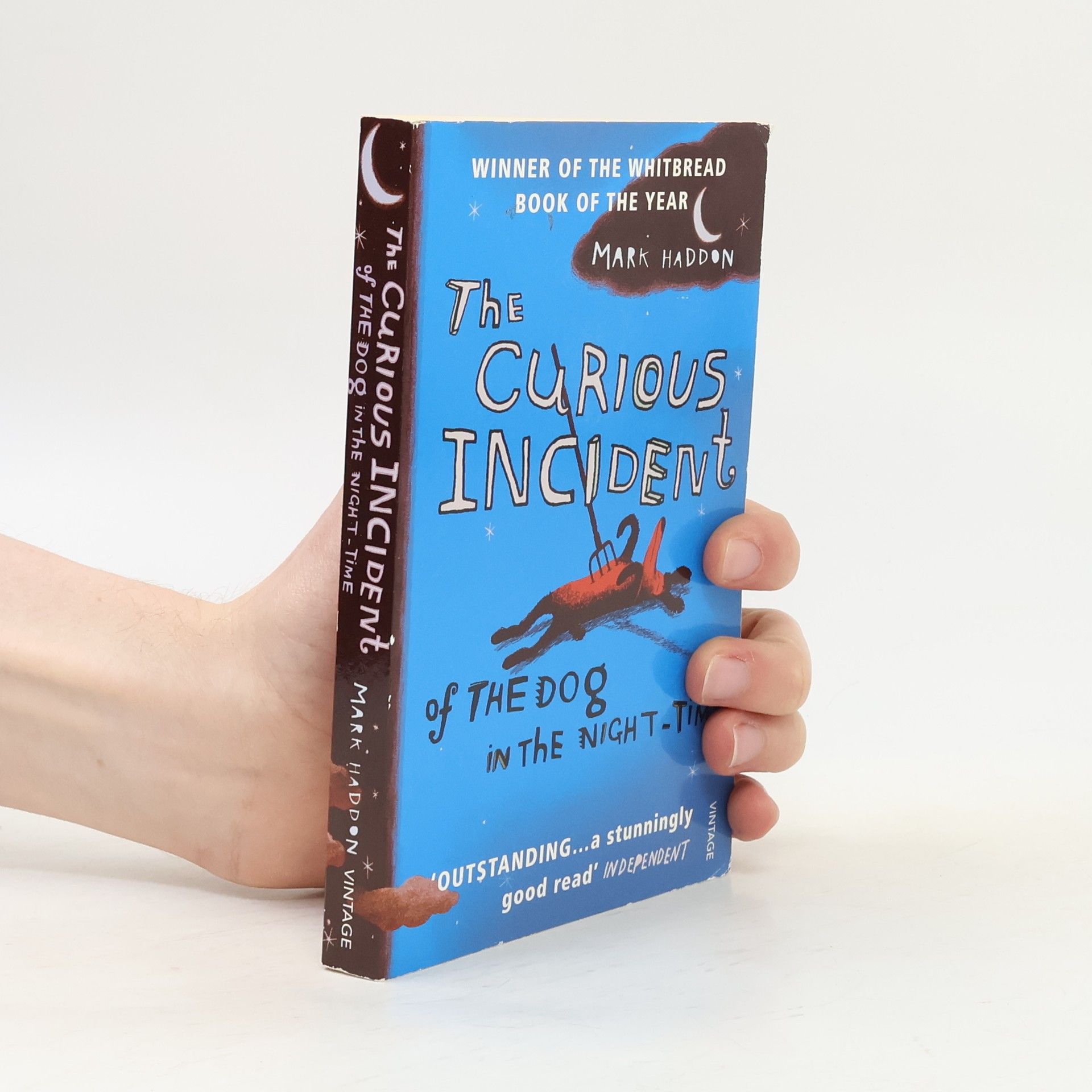 Mark Haddon The Curious Incident of The Dog in The Night-Time