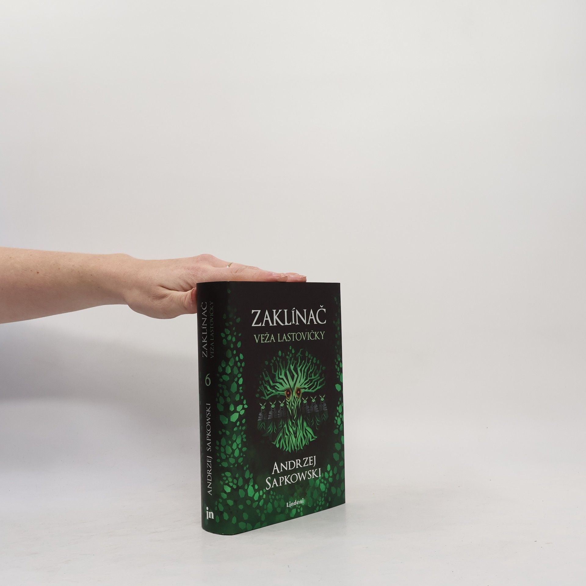 Andrzej Sapkowski Zaklínač. Veža lastovičky