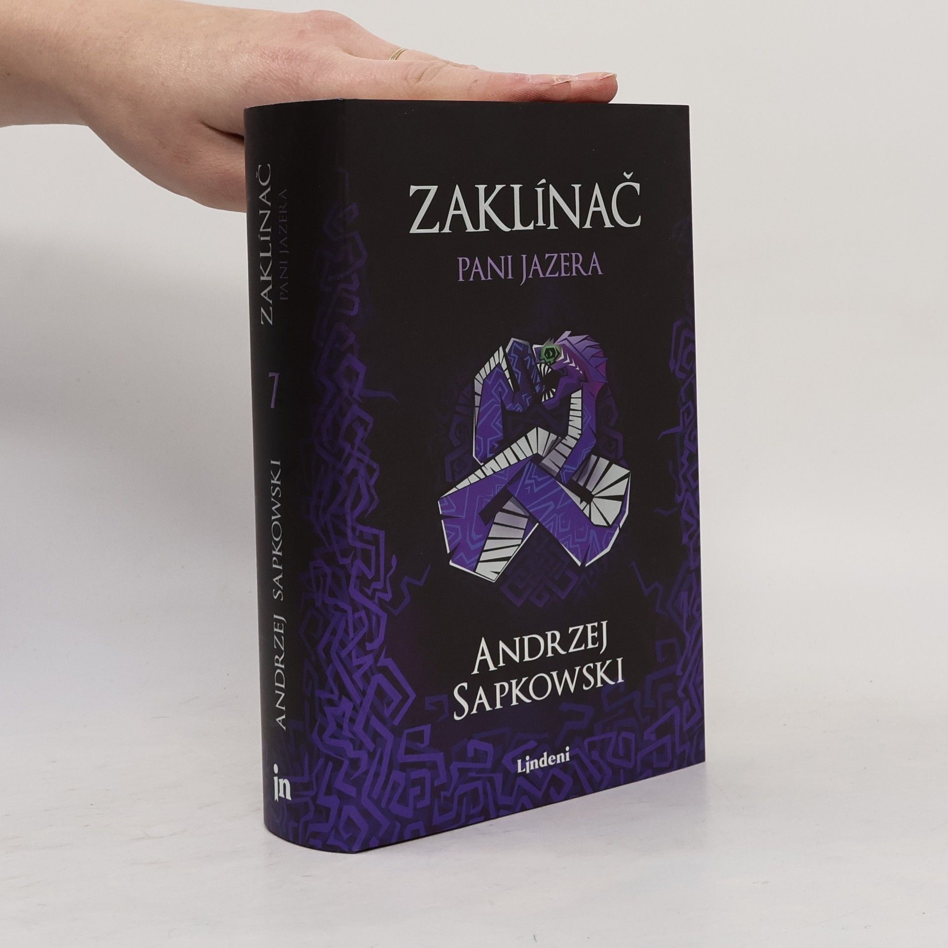 Andrzej Sapkowski Pani jazera