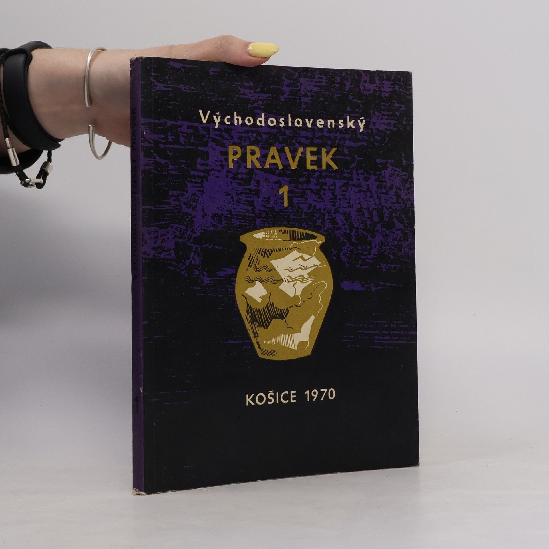 Autorenkollektiv Východoslovenský pravek 1.