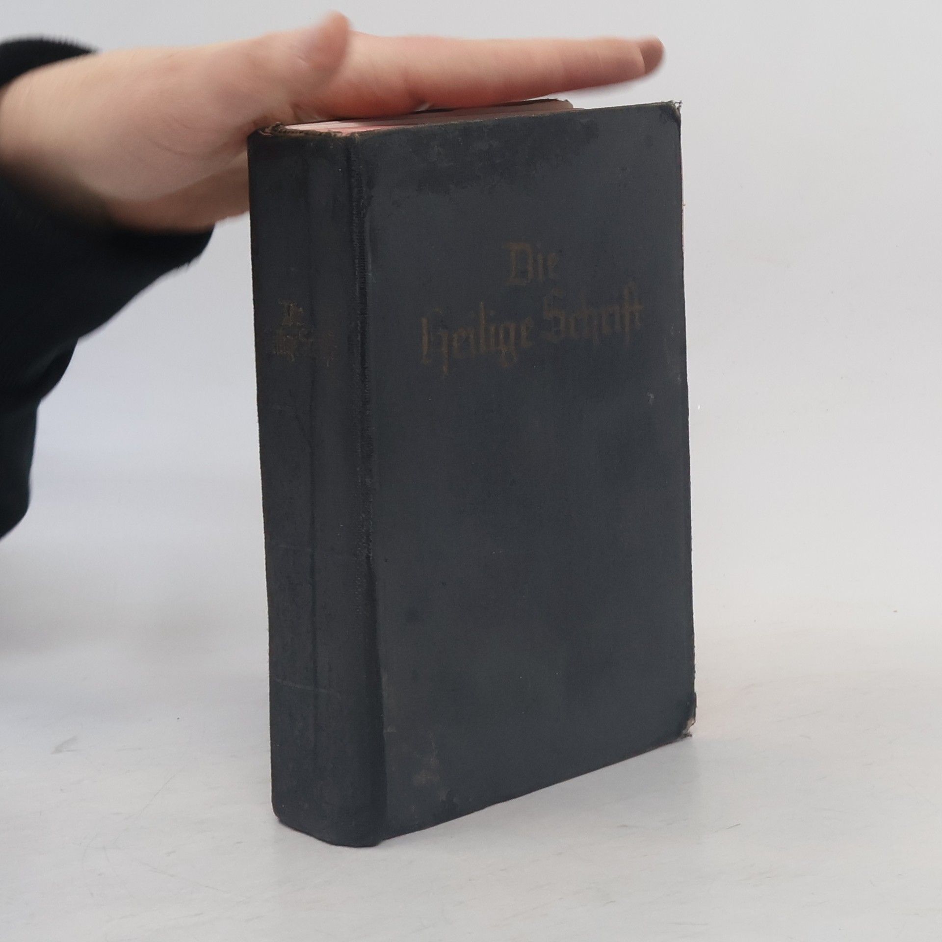 Autorenkollektiv Die Bibel oder die ganze Heilige Schrift des Alten und Neuen Testaments