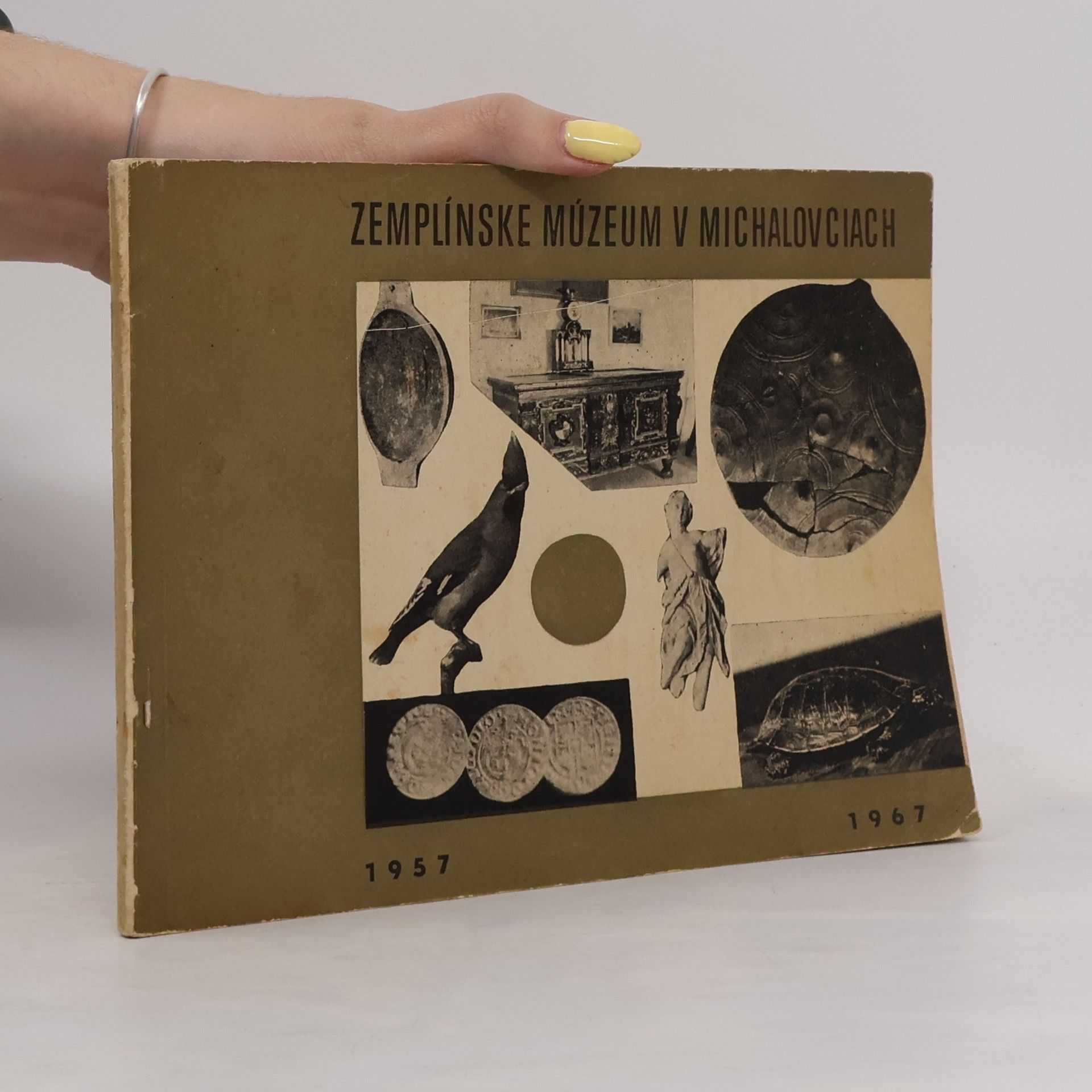 Autorenkollektiv Zemplínske múzeum v Michalovciach 1957-1967