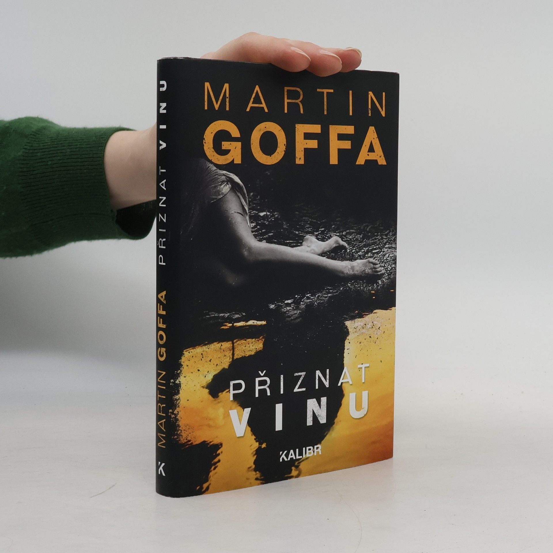 Martin Goffa Přiznat vinu
