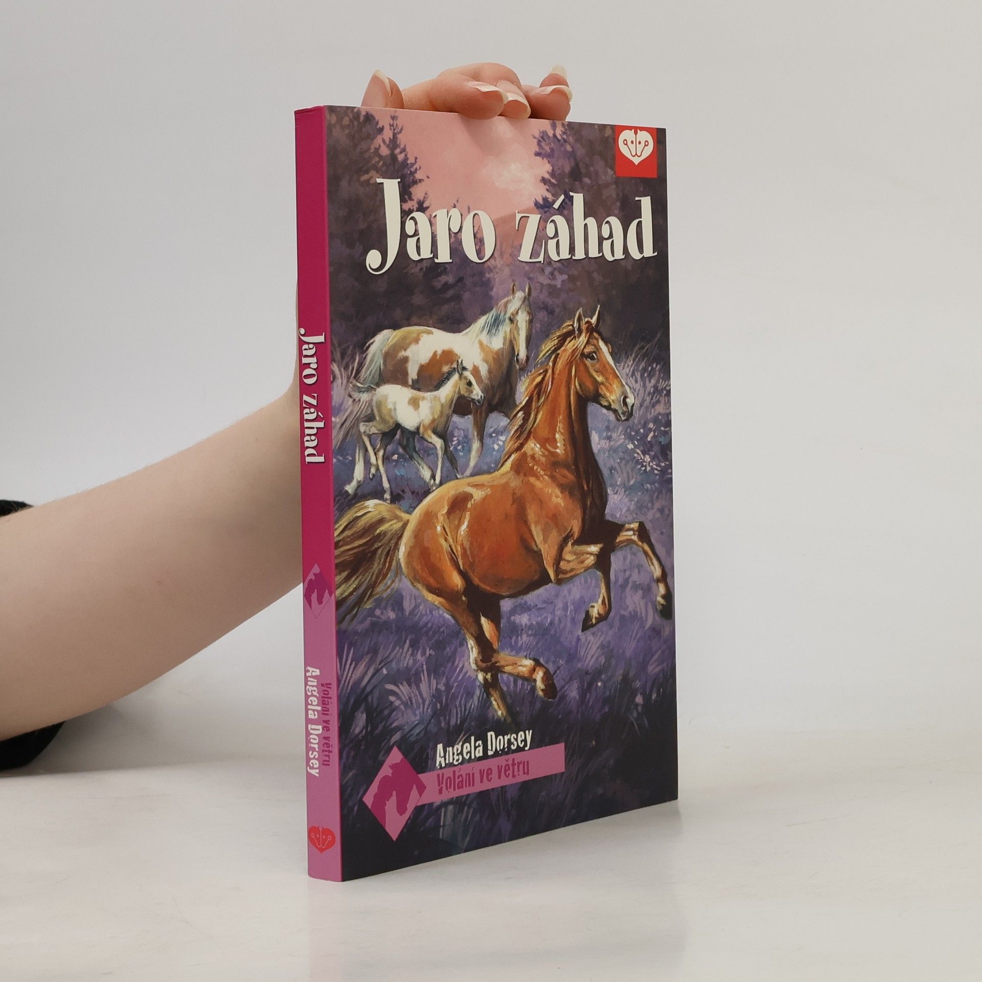 Angela Dorsey Jaro záhad
