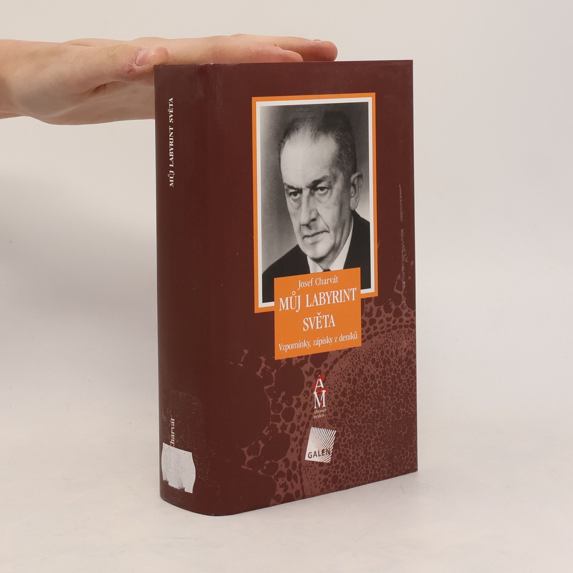 Josef Charvát Můj labyrint světa : vzpomínky, zápisky z deníků