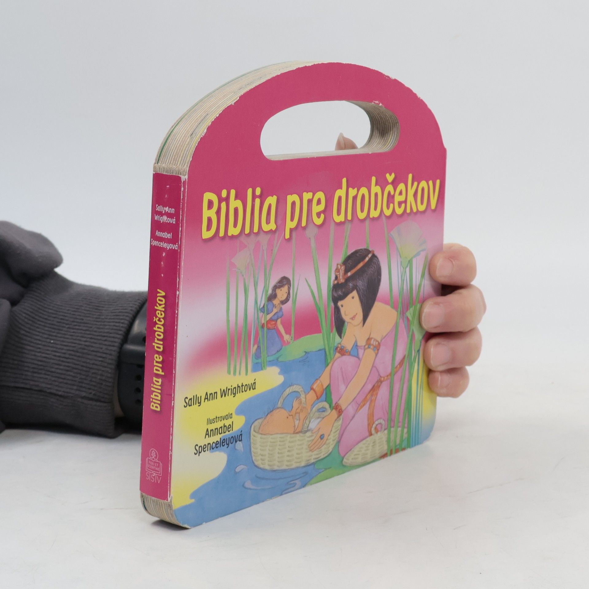 Sally Ann Wright Biblia pre drobčekov